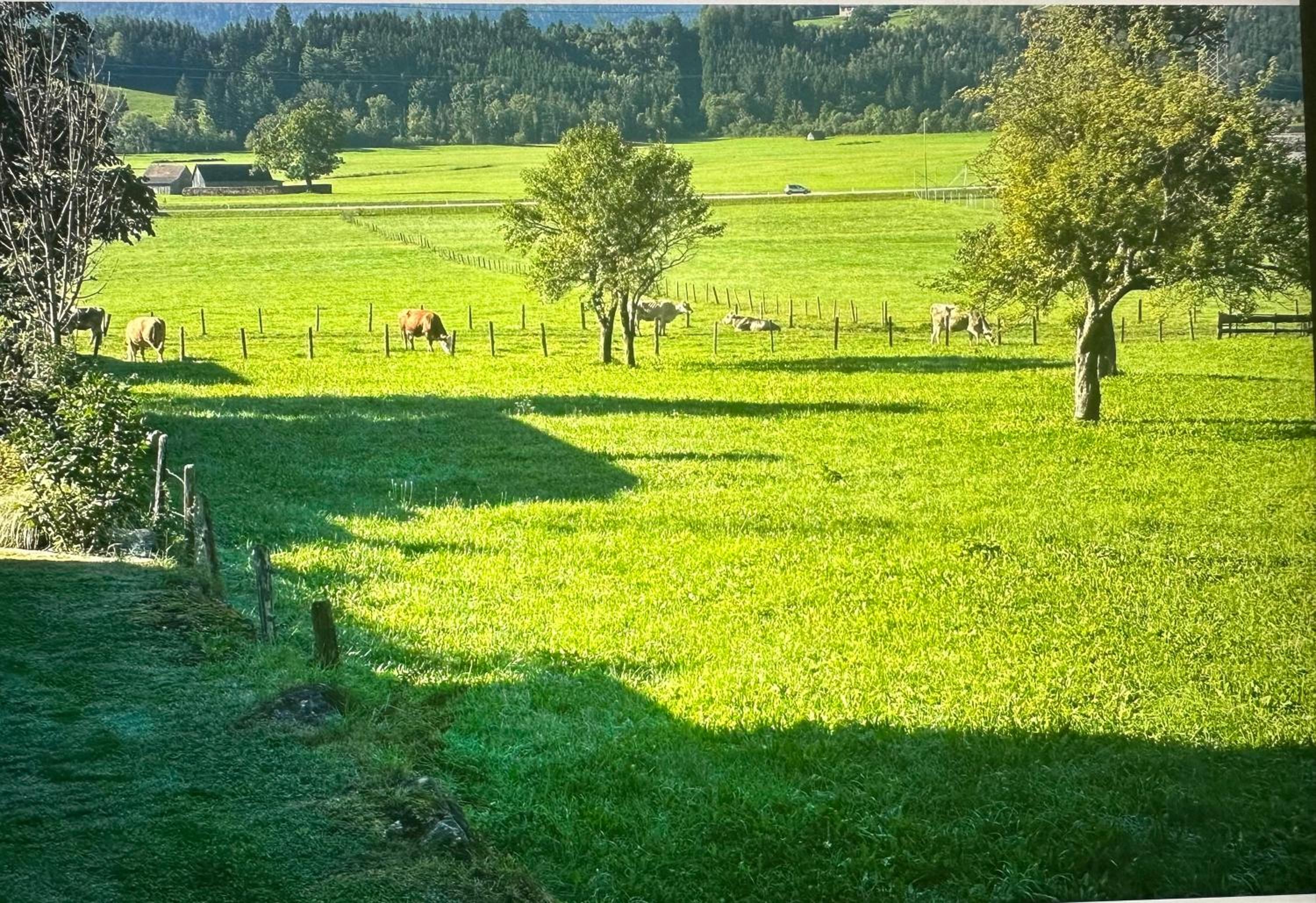 Gemütliche kleine Wohnung mit Garten