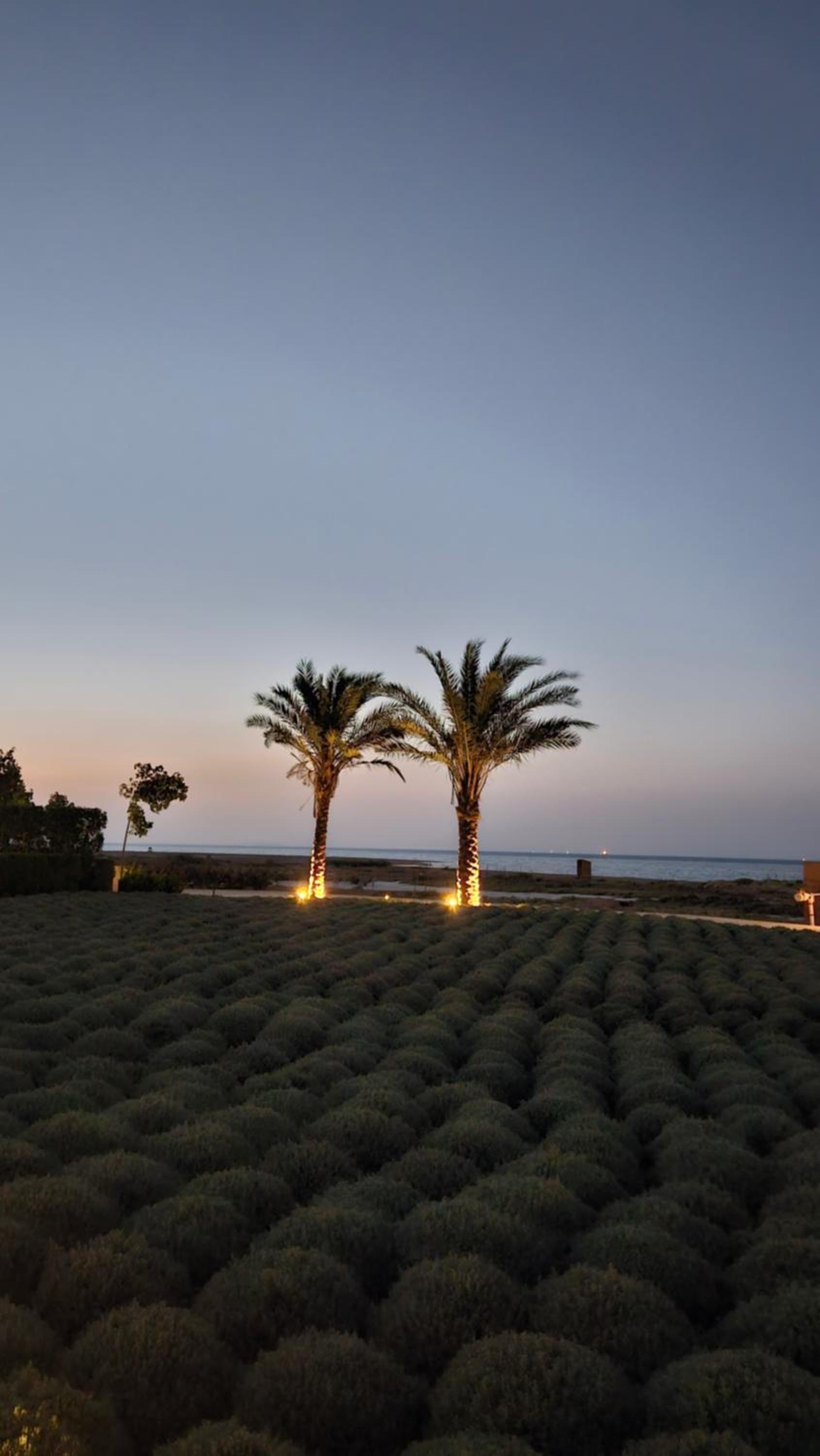 El Gouna Mangroovy Residence Sea View - kitesurfing