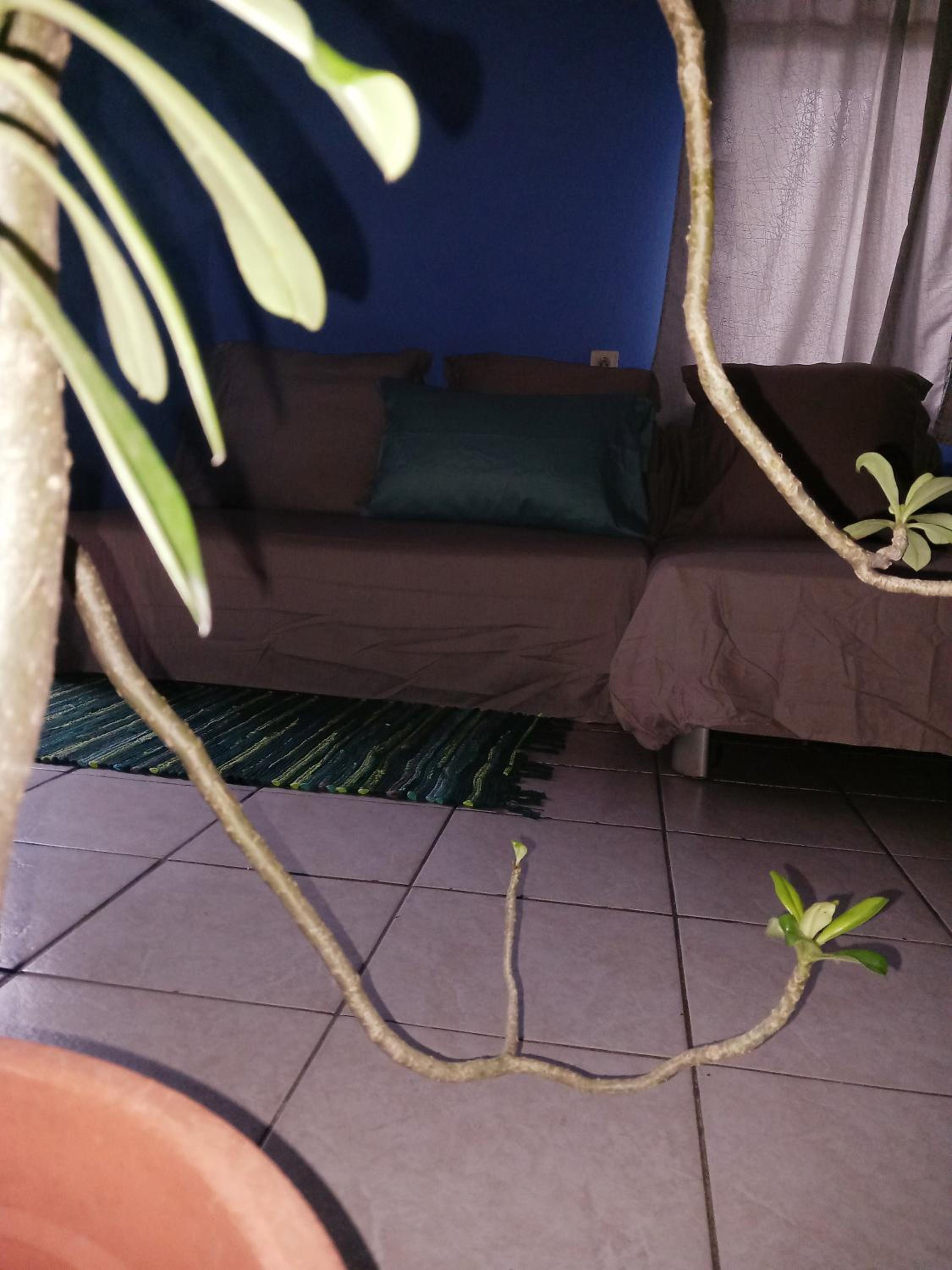 Bora Rent lodge view 5