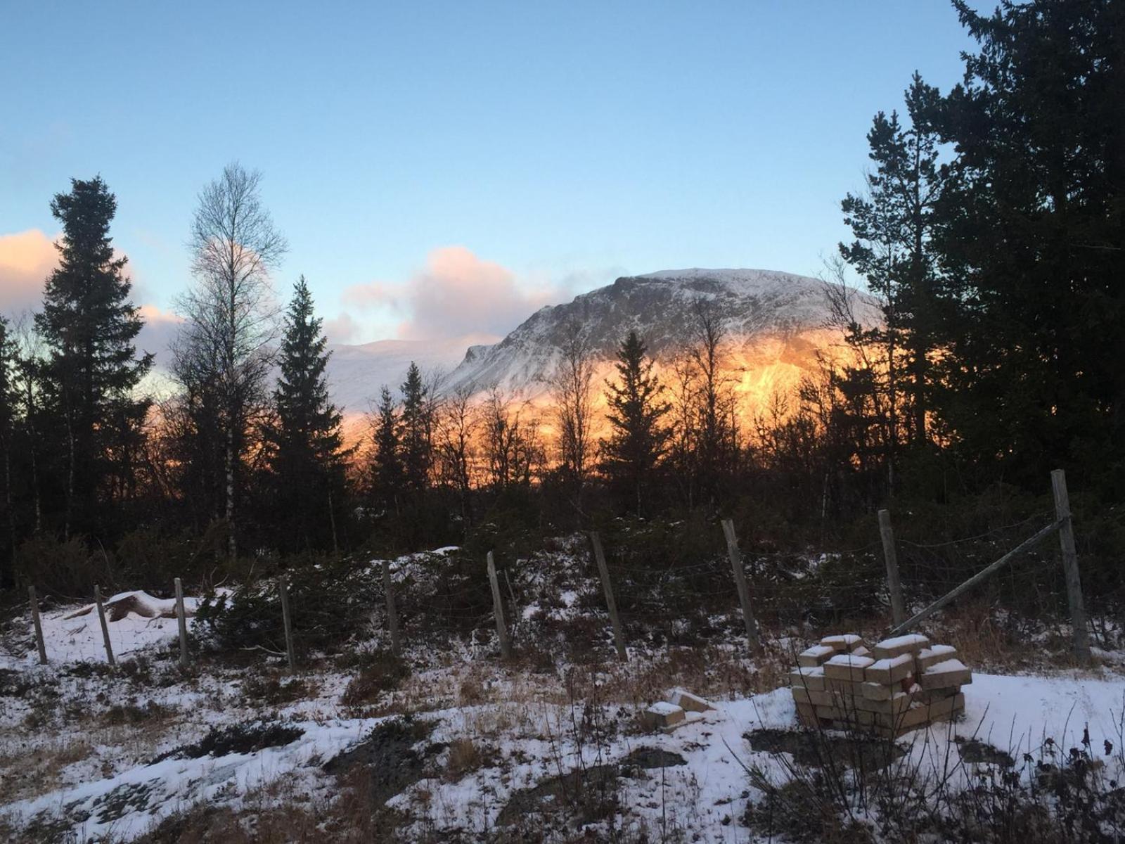 Spacious Hemsedal apartment with 2 bedrooms, fireplace, and mountain views view 4