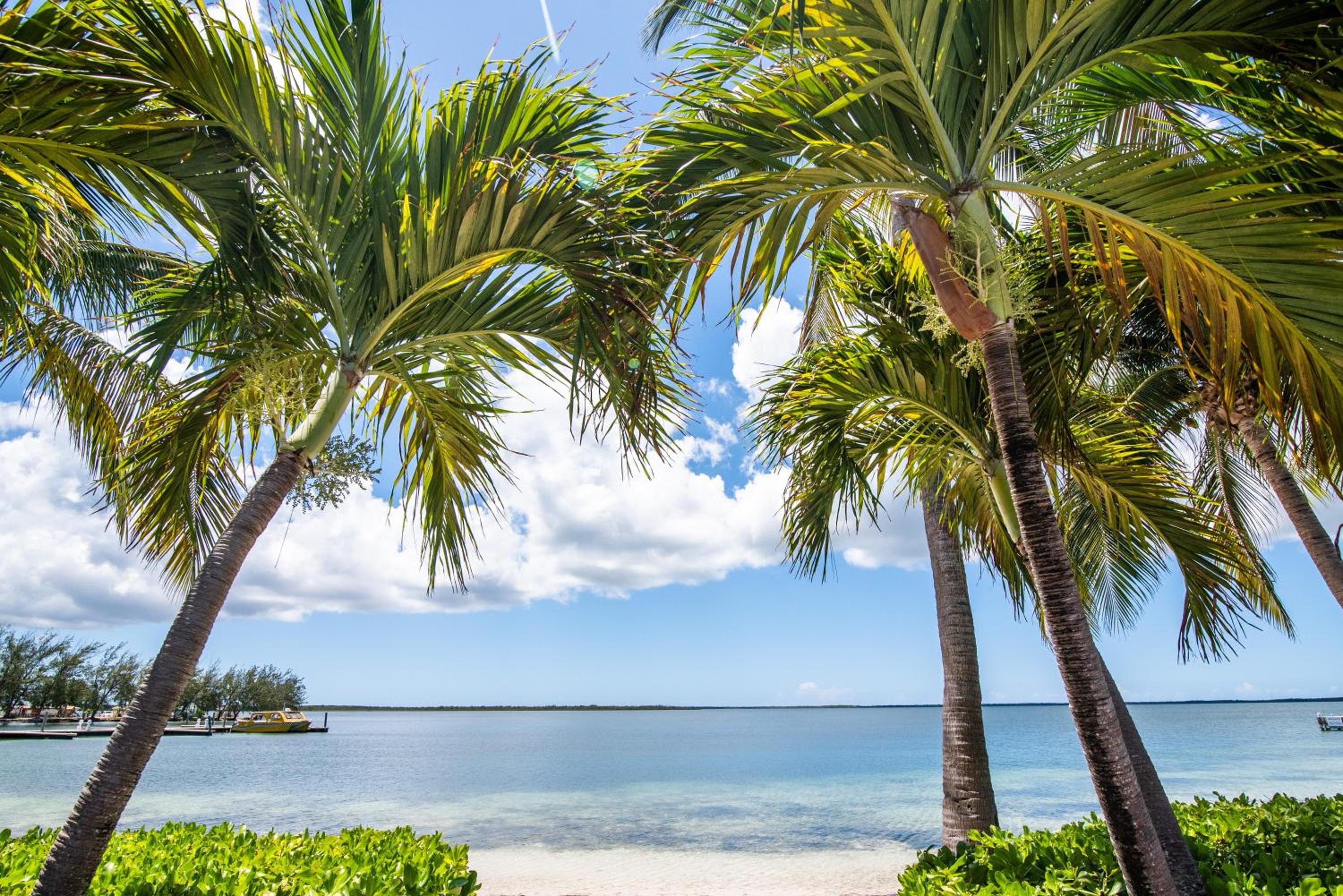Kaibo Hacienda Condo