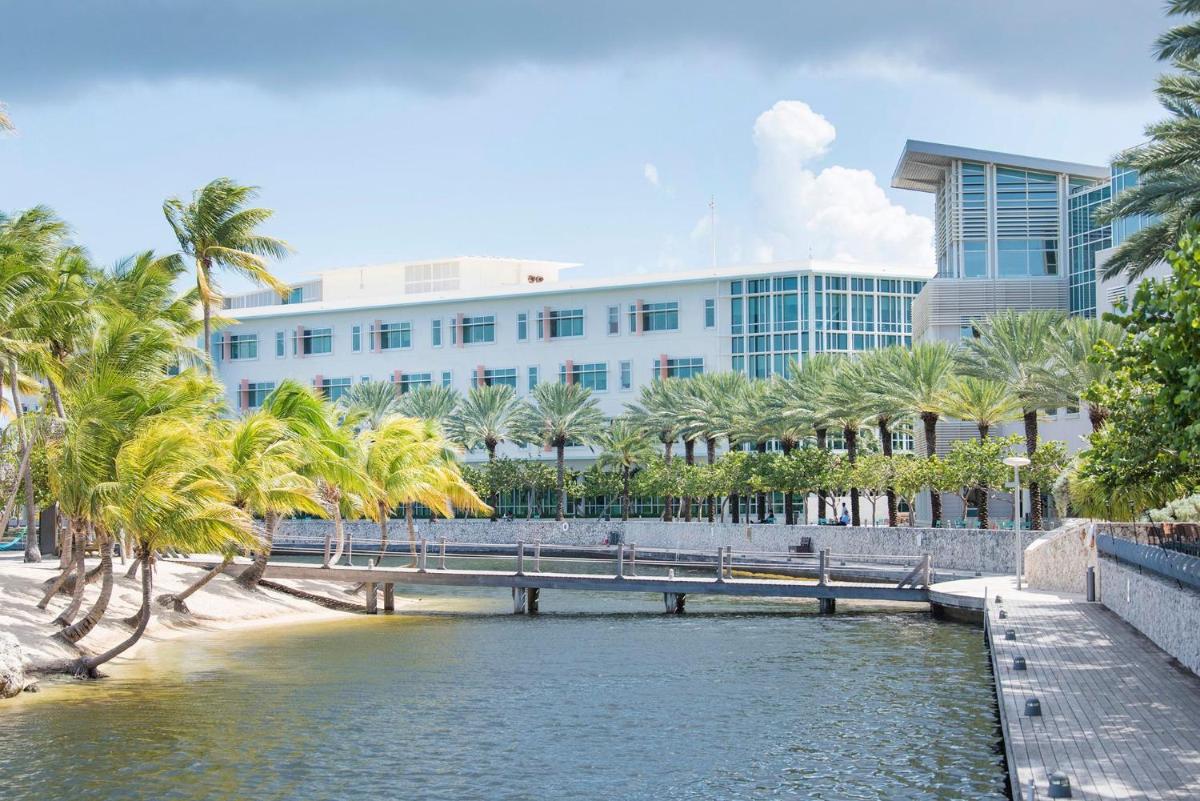 Britannia 7 Mile Beach Condo, photo 64