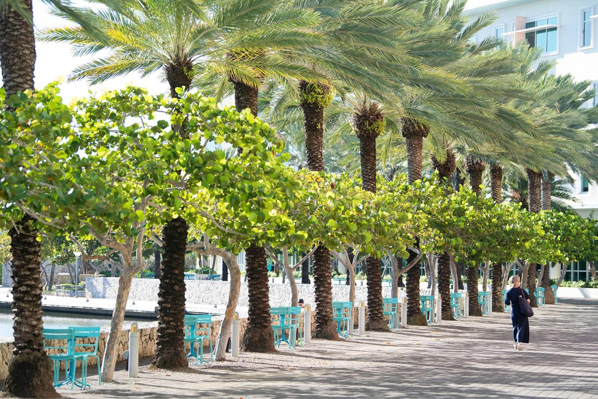 Britannia 7 Mile Beach Condo, photo 9