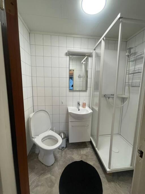Liten eldre og koselig studiohybel