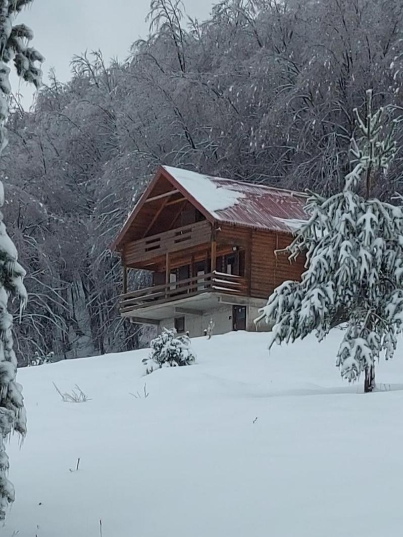 Villa Forestside
