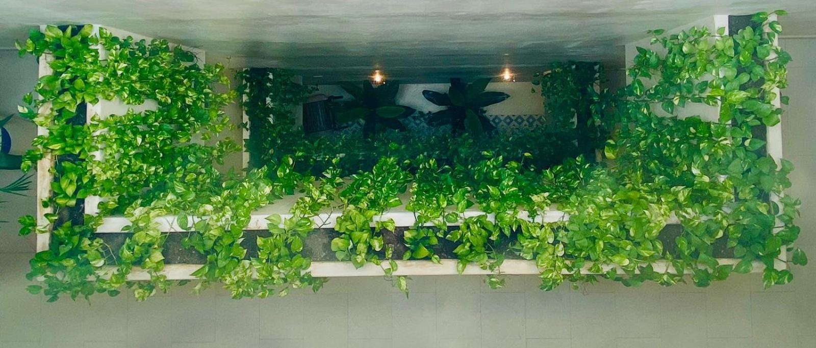 Holbox apartment
