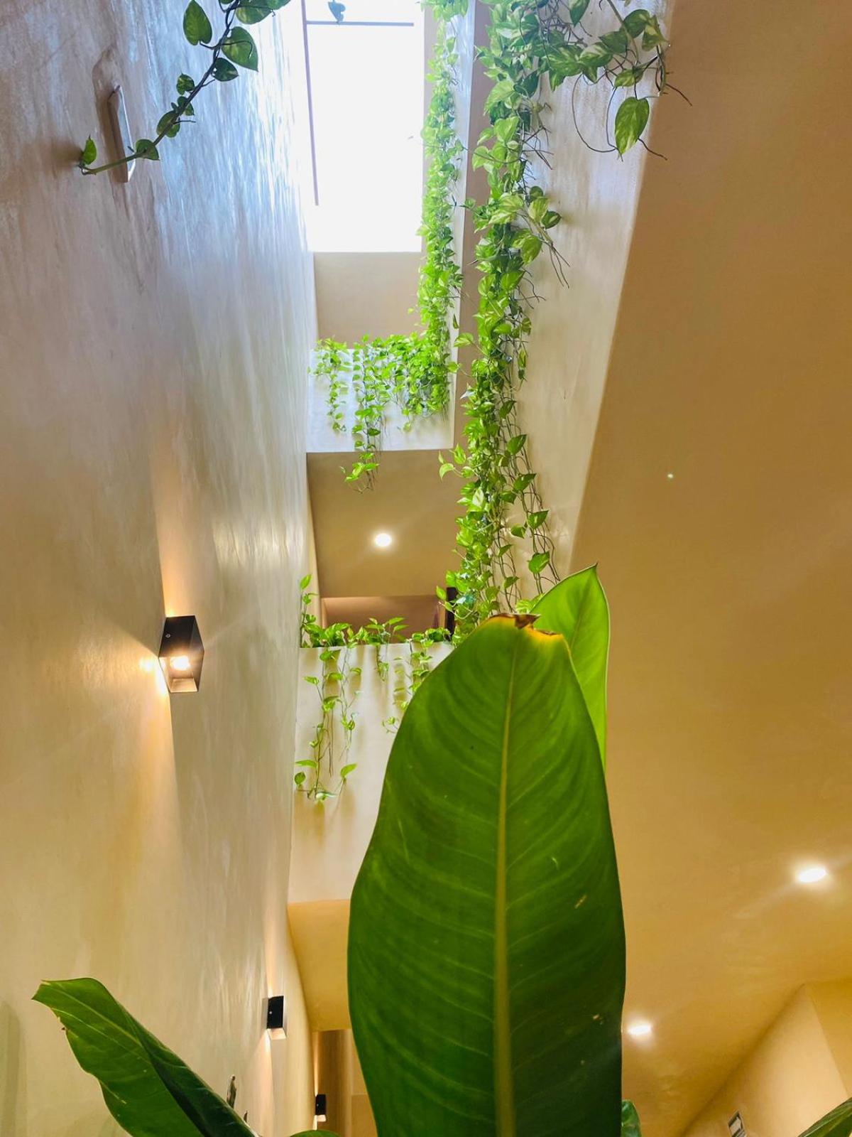 Holbox apartment