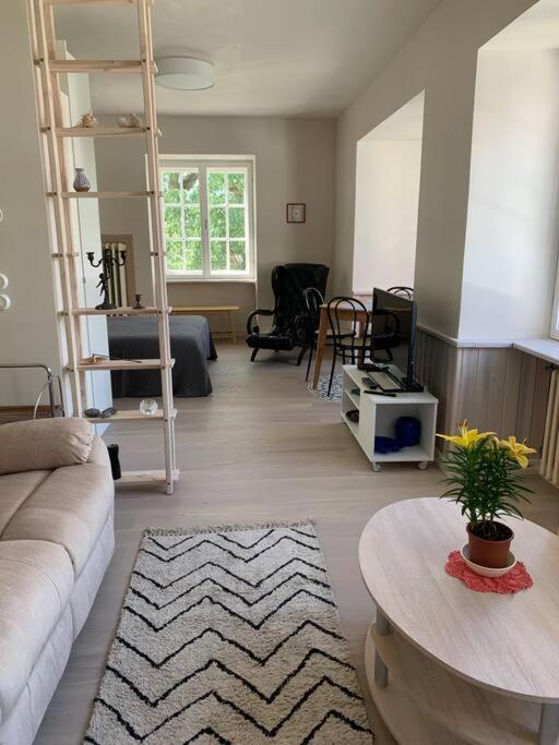 Cosy apartment in downtown Tallinn near Kalamaja