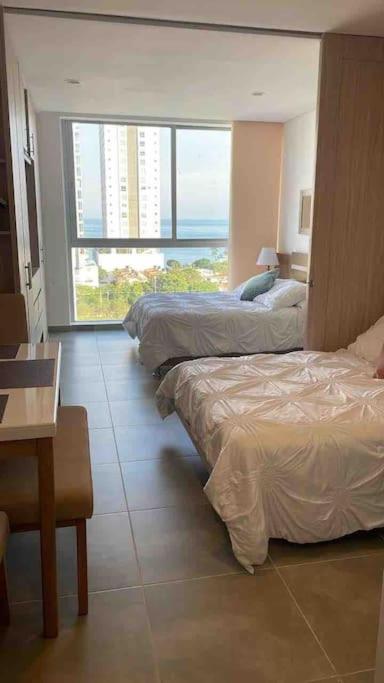 Appartement vue sur mer
