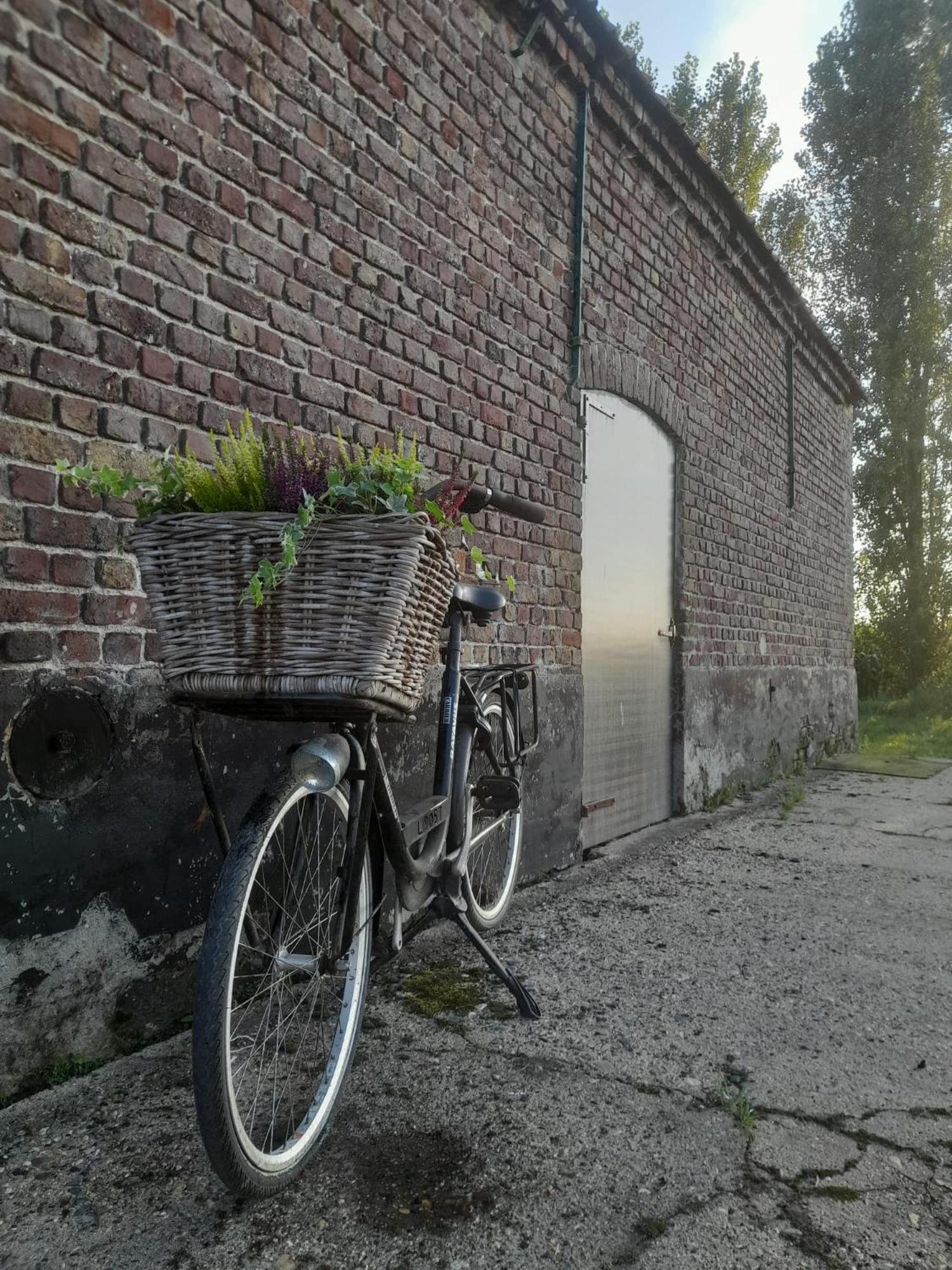 In the old farmhouse