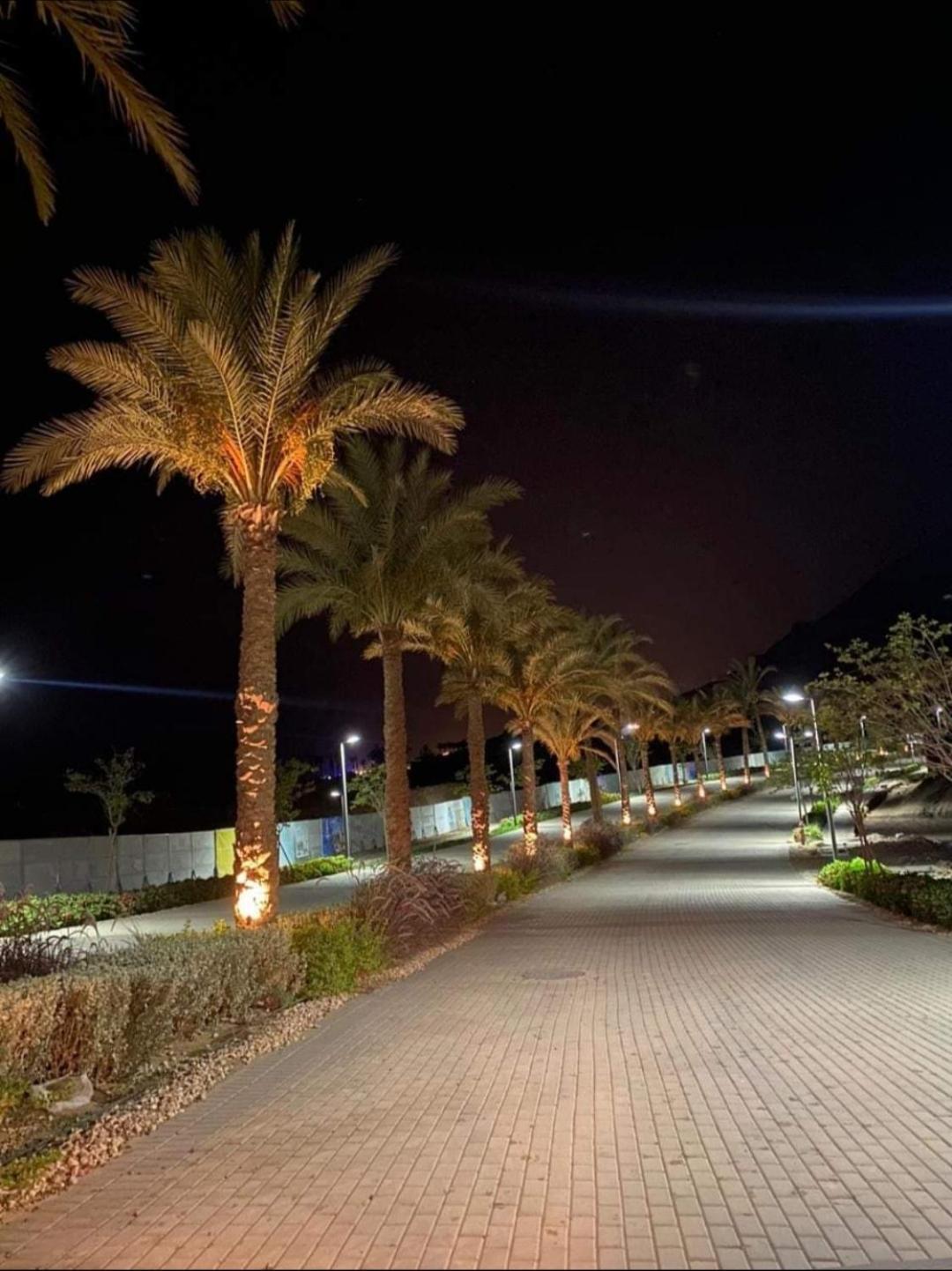 The Groove Ain Sokhna