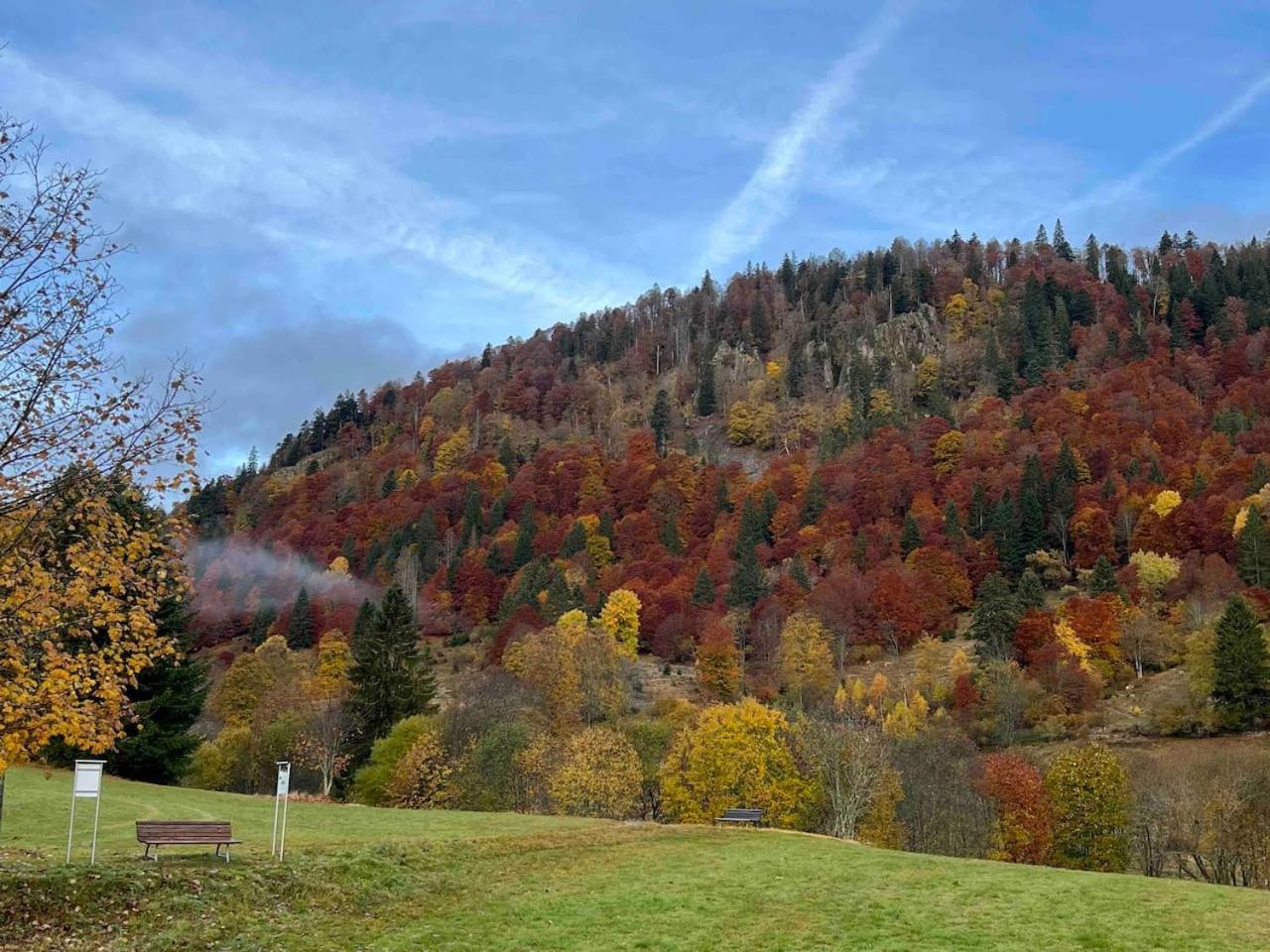 Forest Apartment Menzenschwand