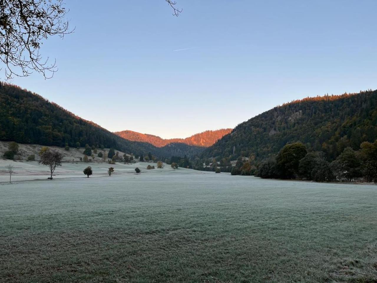 Forest Apartment Menzenschwand