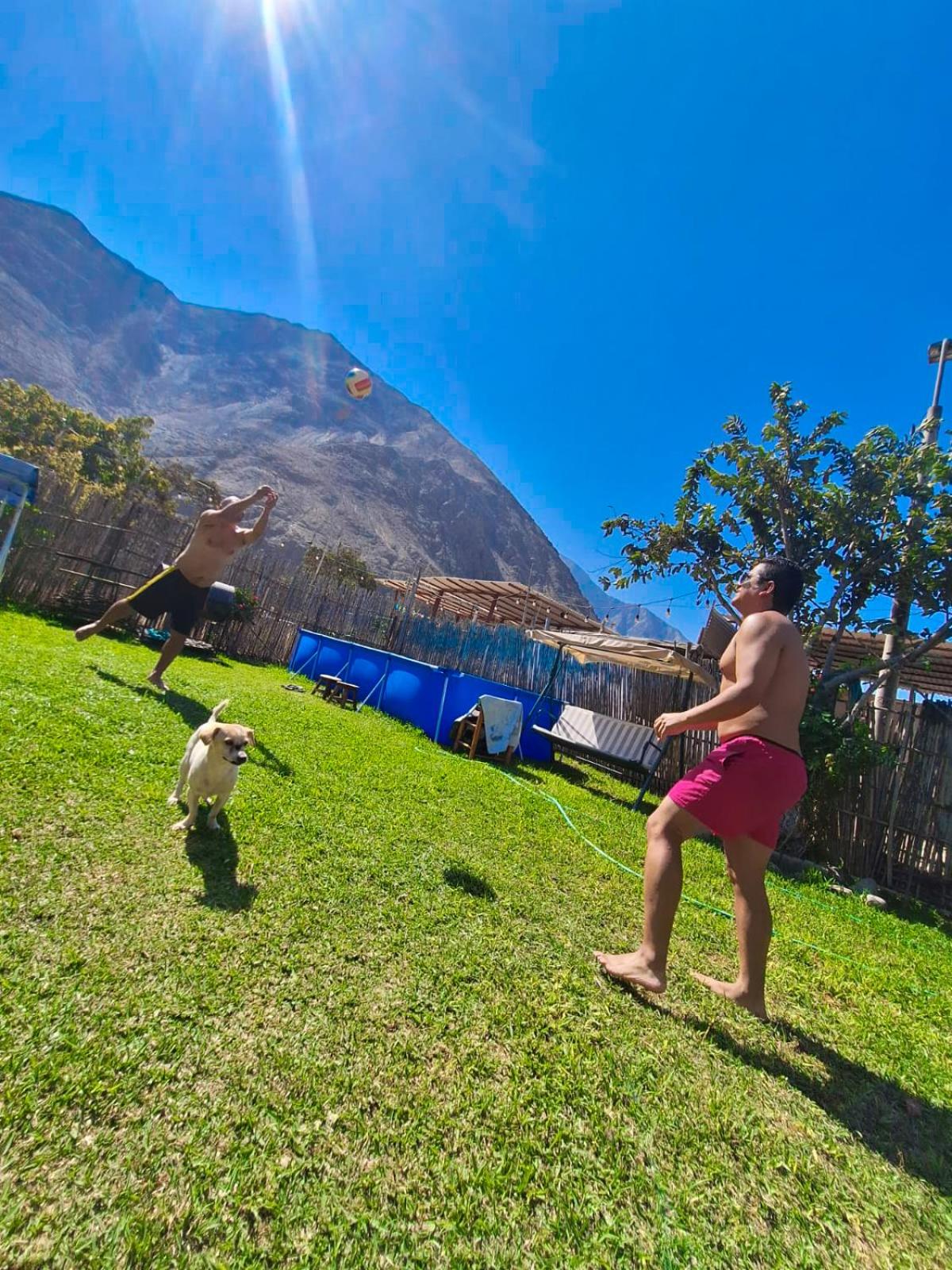 Photo 48