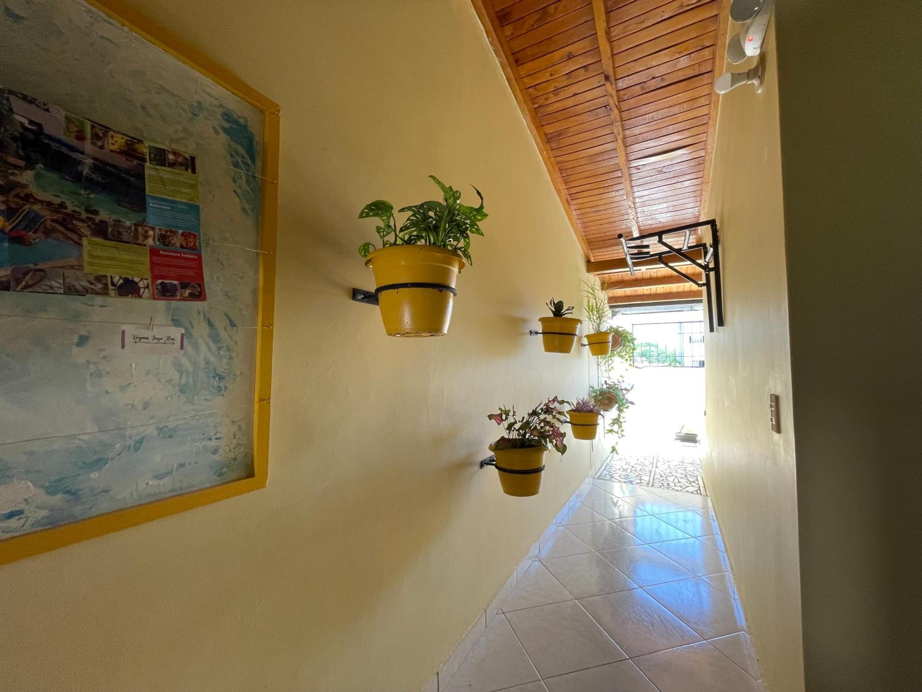 Sol Apartamentos Doradal 201 y 202