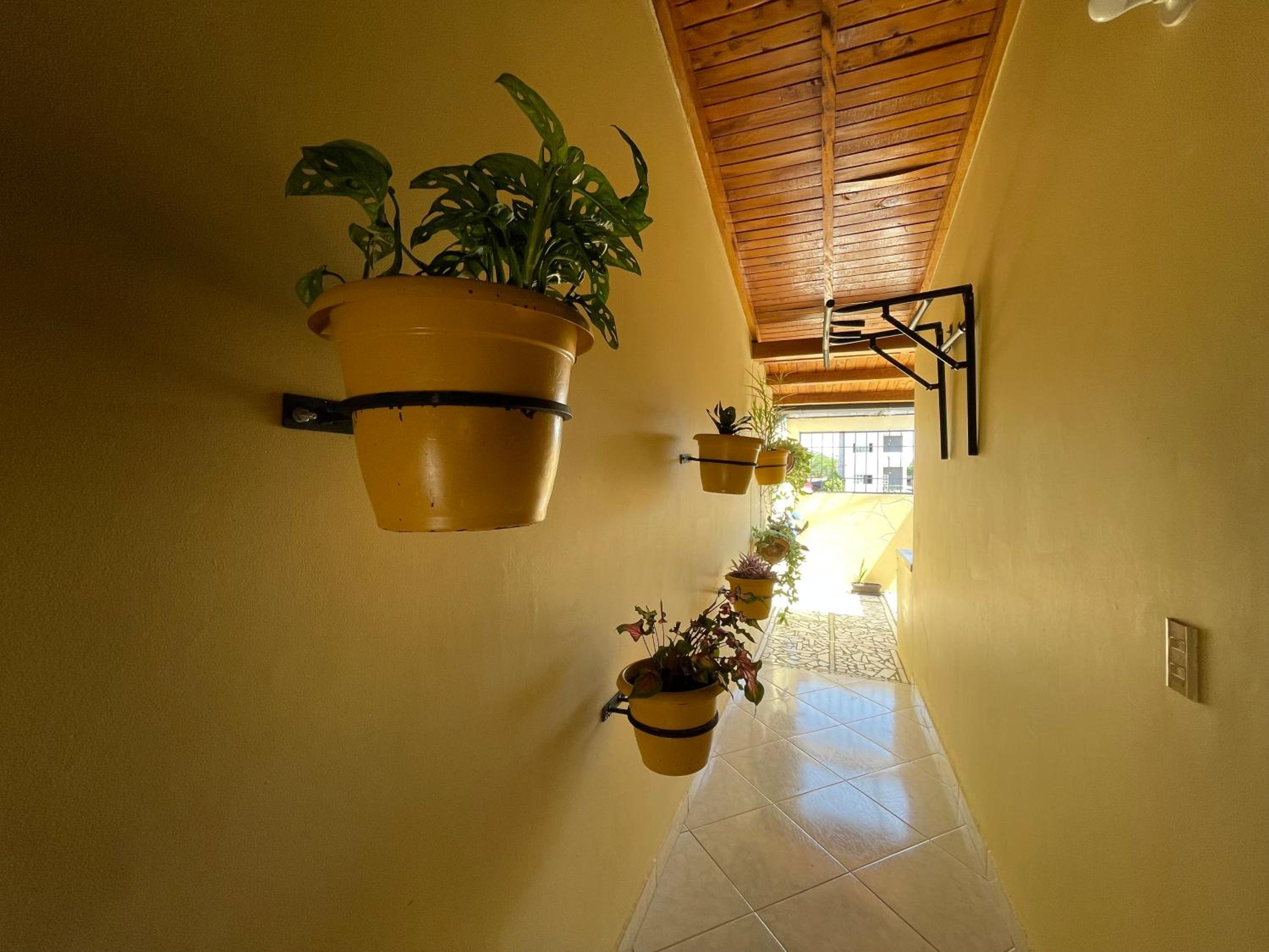 Sol Apartamentos Doradal 201 y 202
