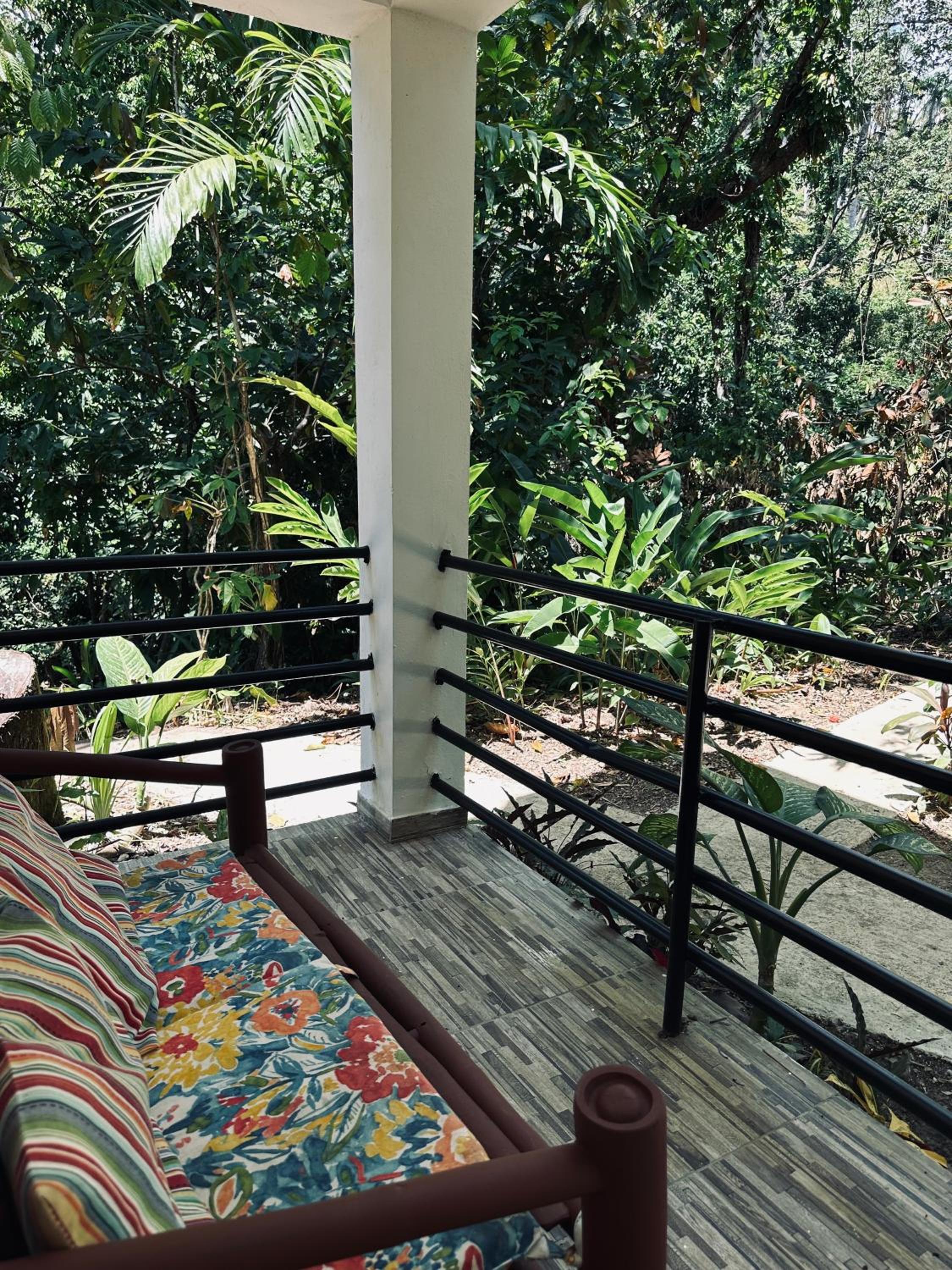 Samana tropical