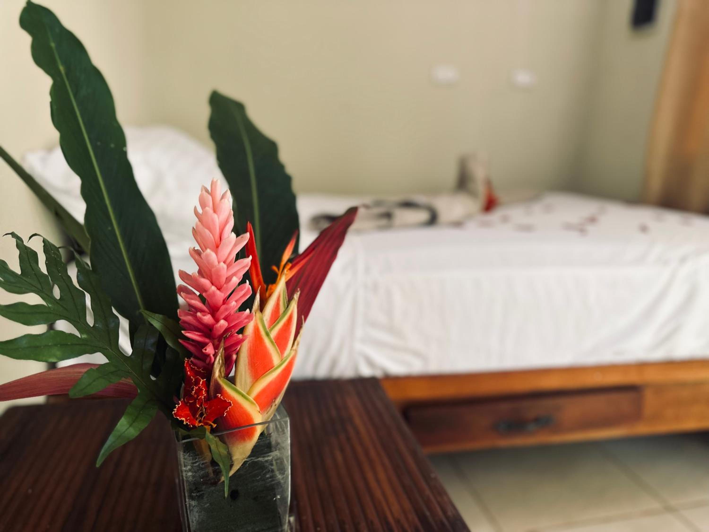 Samana tropical