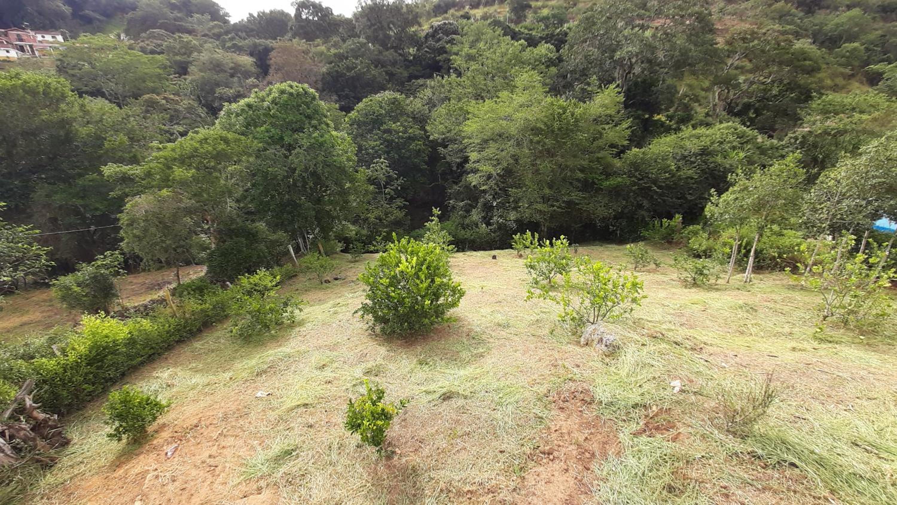 Cabaña Chalet La Lomita