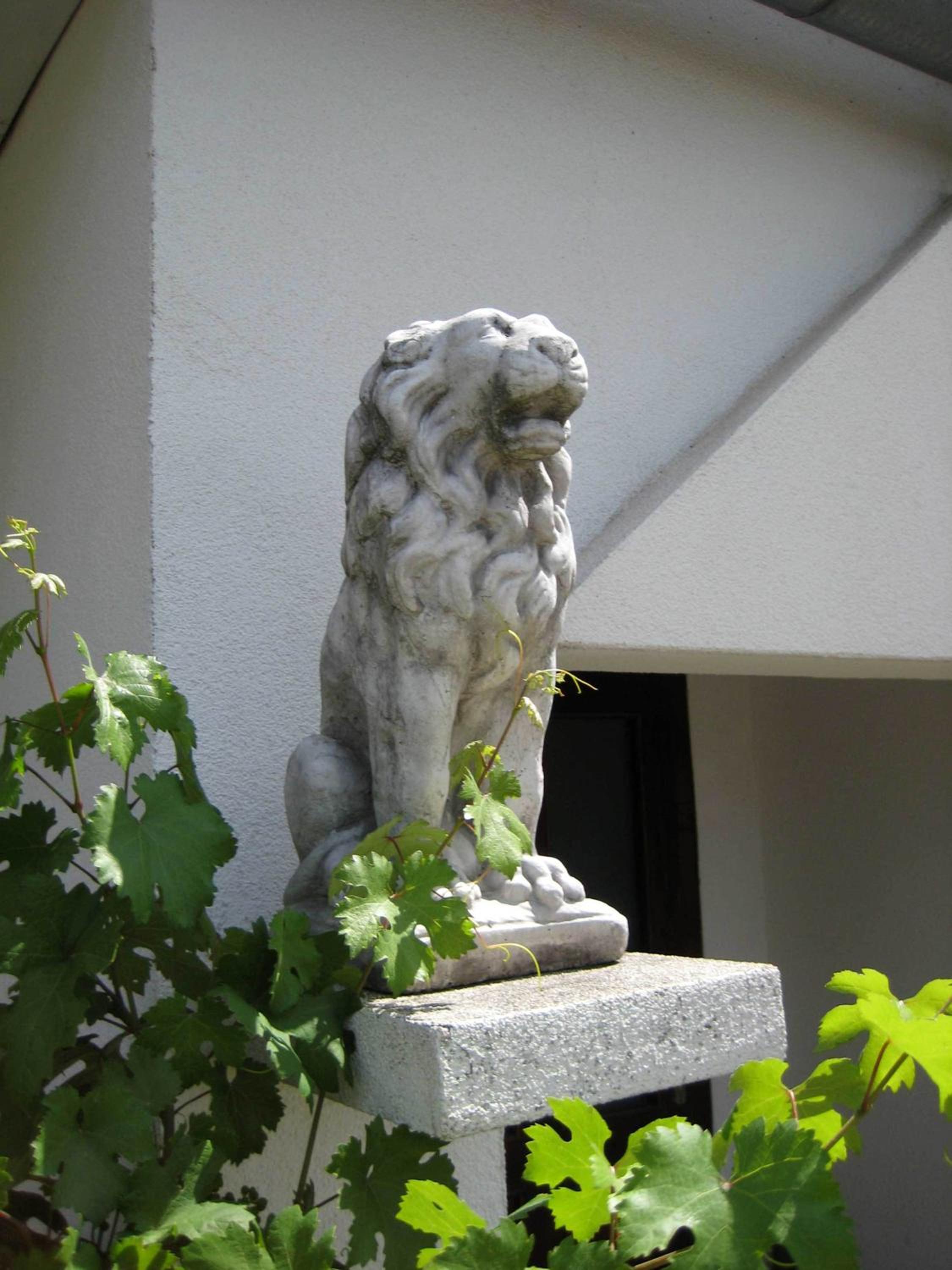 Photo 238