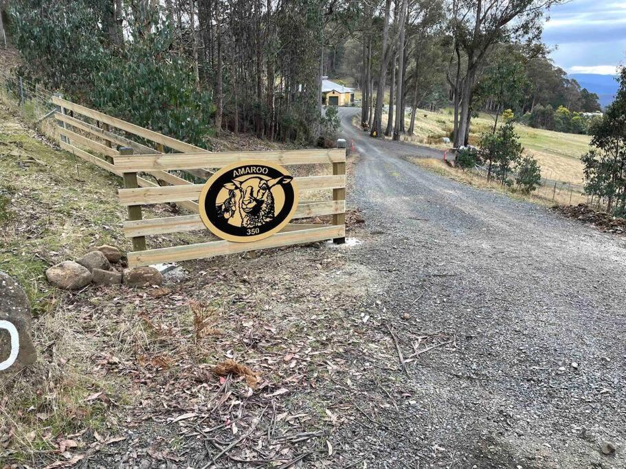 Amaroo with a view set on a 50 Acre Hobby Farm - Property Image 22