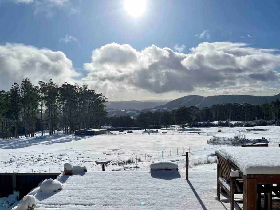 Amaroo with a view set on a 50 Acre Hobby Farm - Property Image 20