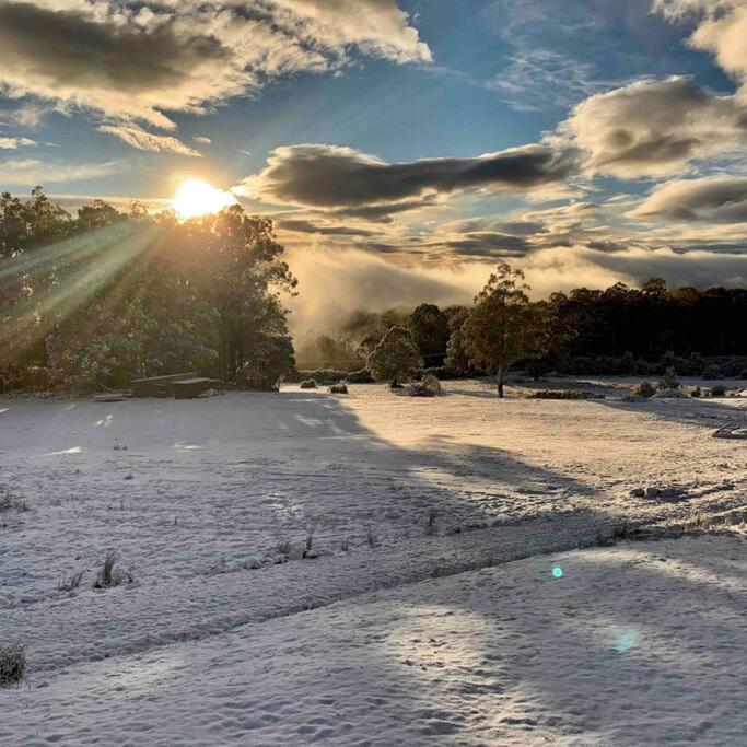 Amaroo with a view set on a 50 Acre Hobby Farm - Property Image 21