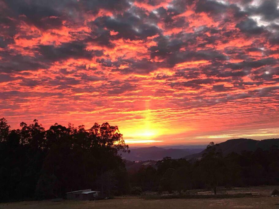 Amaroo with a view set on a 50 Acre Hobby Farm - Property Image 41