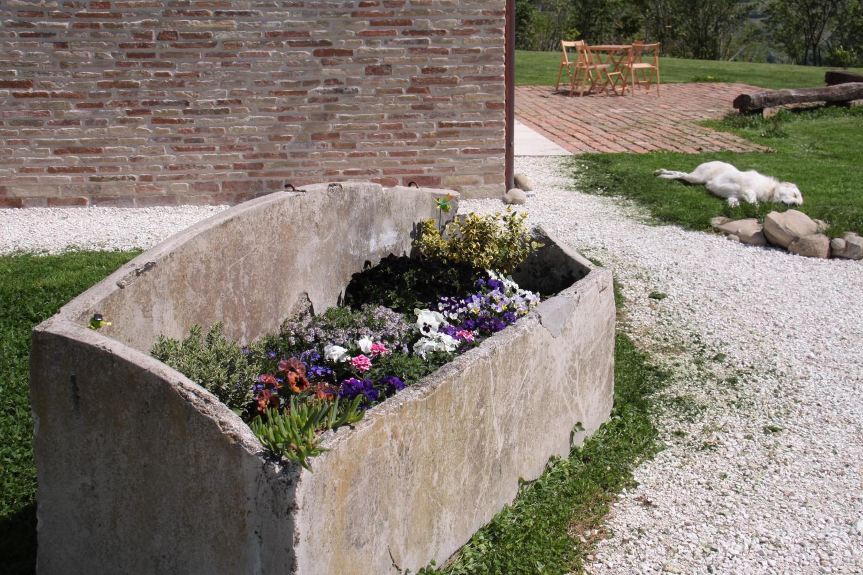 L'Isola Che Non C'era