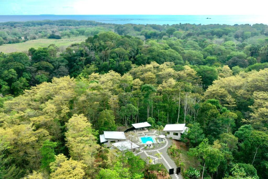 Sharma Costa Rica- Mimosa Casita