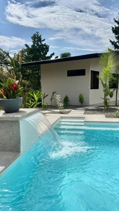 Sharma Costa Rica- Mimosa Casita
