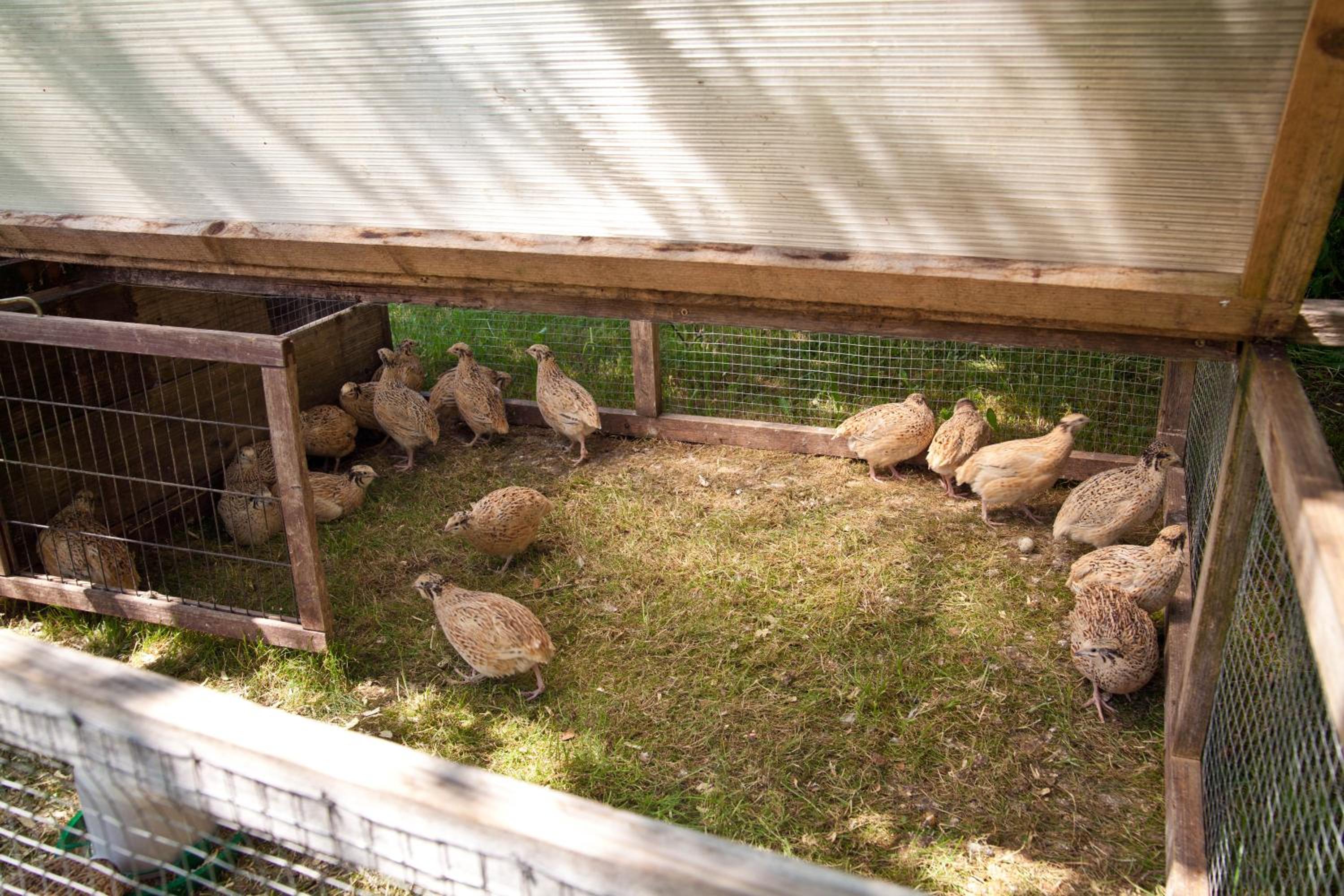 Photo 16