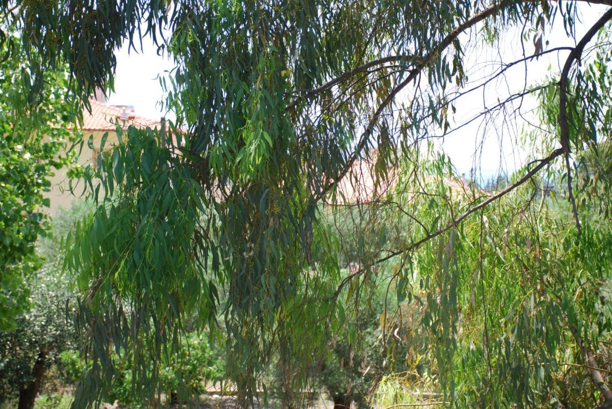 Photo 27
