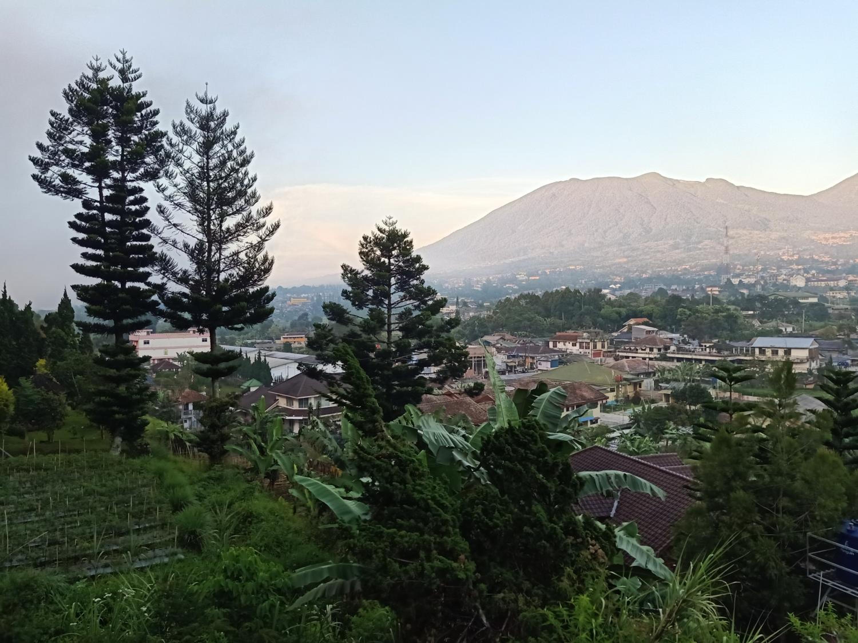 Glamping ReaVeeCafe Puncak