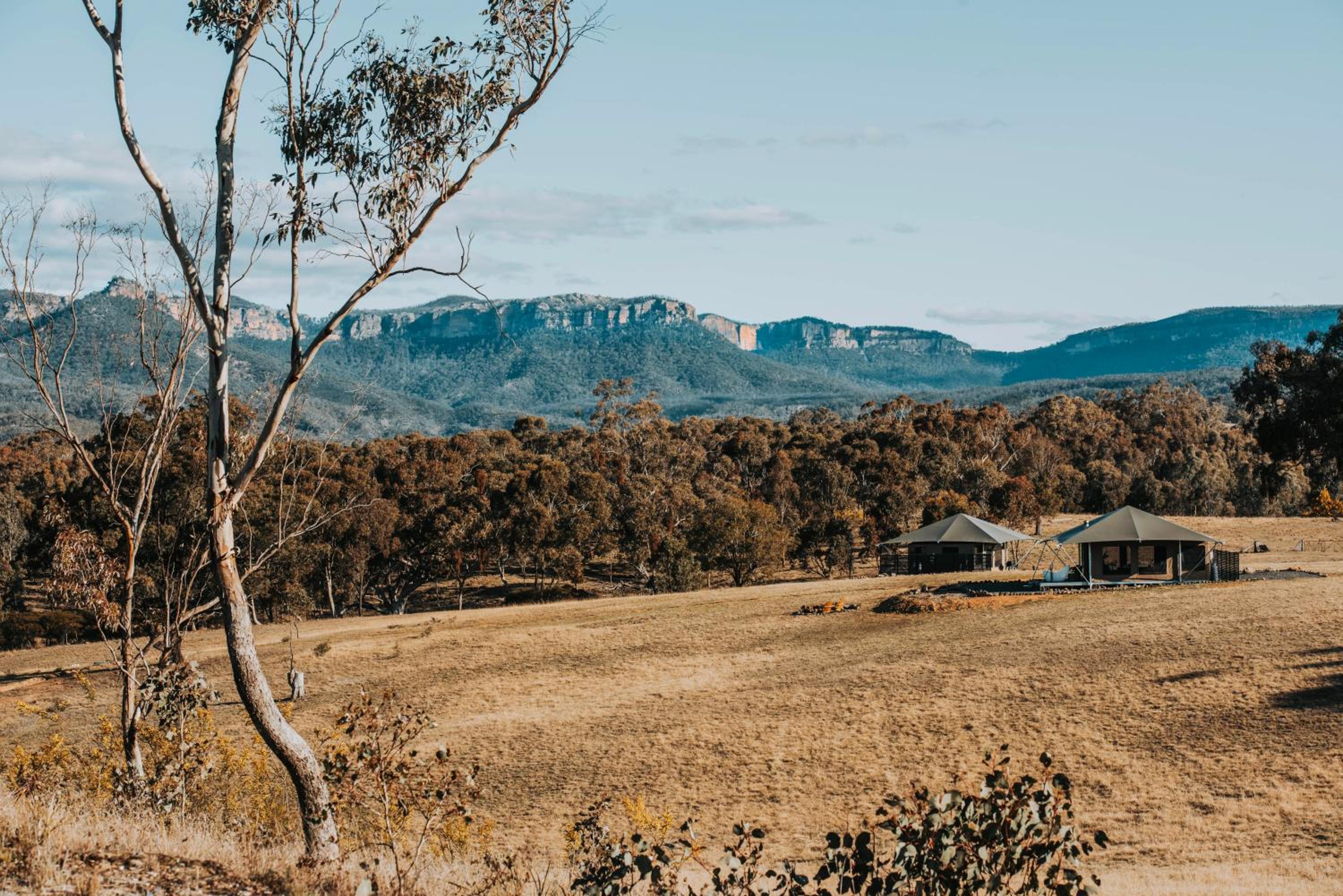 Wildnest Farmstay
