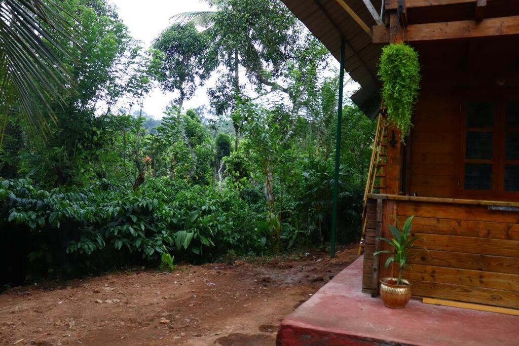 Coorg Northbreeze Wooden Stay