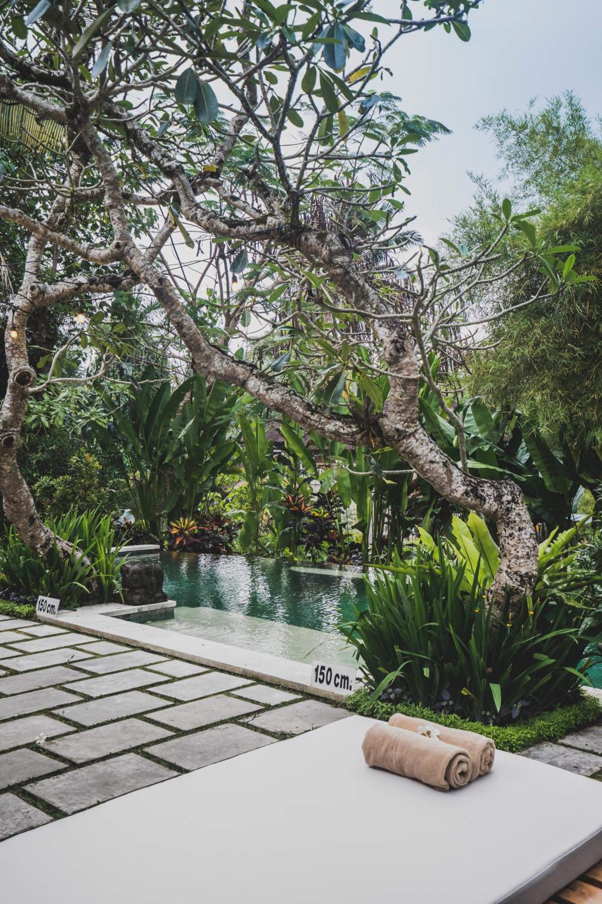 Luwak Ubud Villa & Jungle Suite