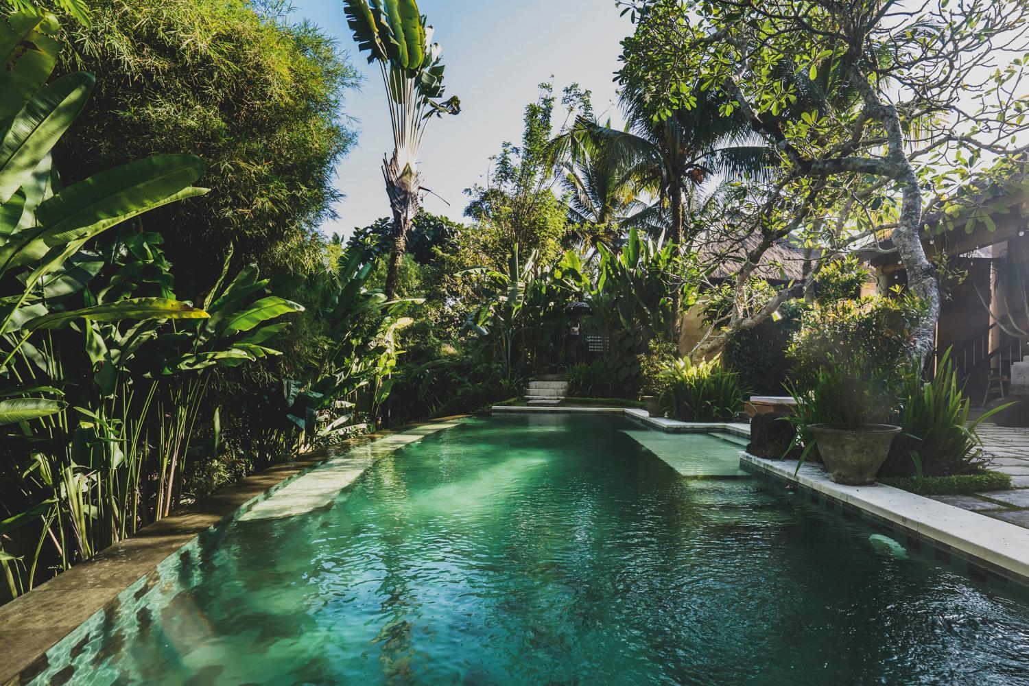 Luwak Ubud Villa & Jungle Suite