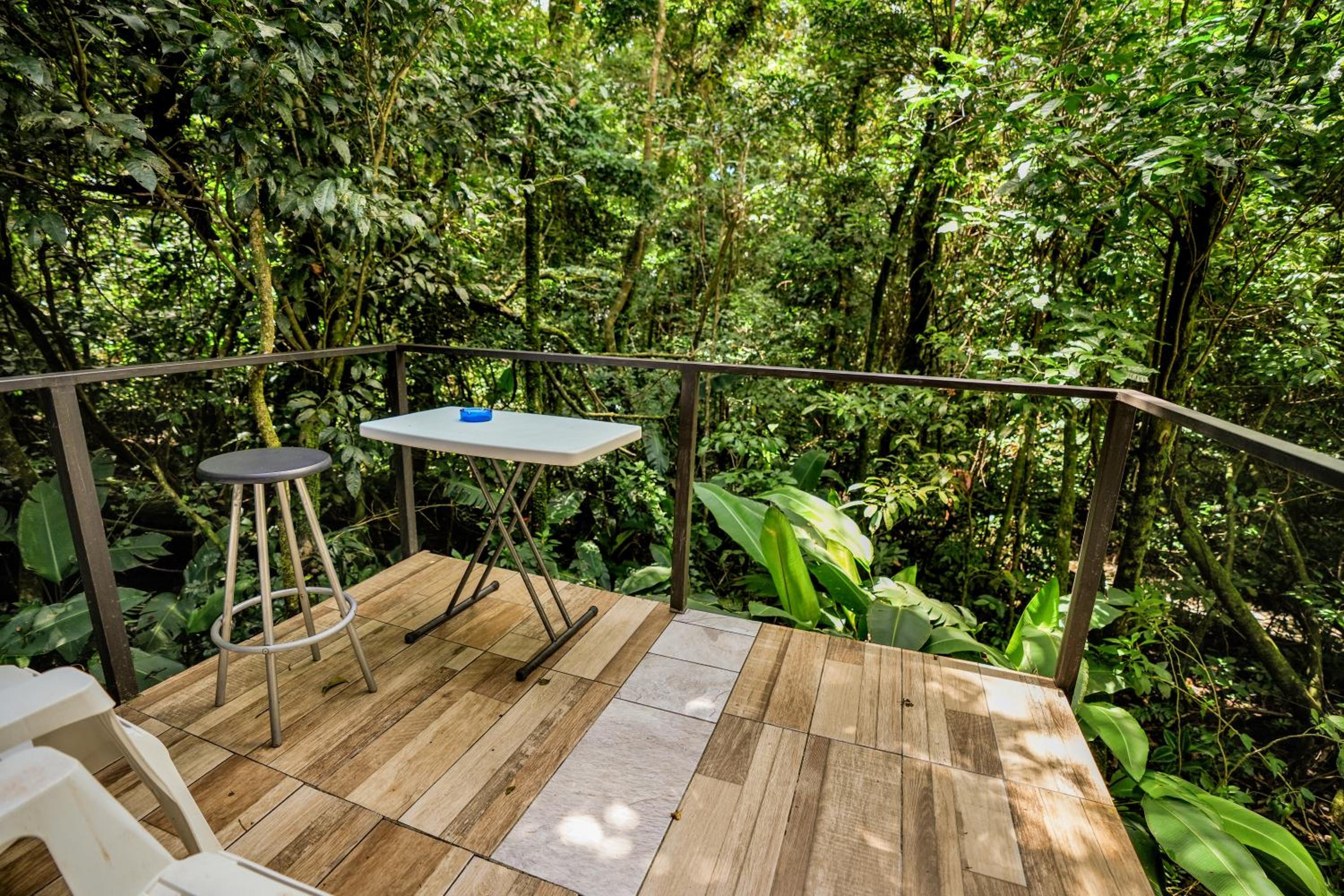 Tityra Lodge view 2