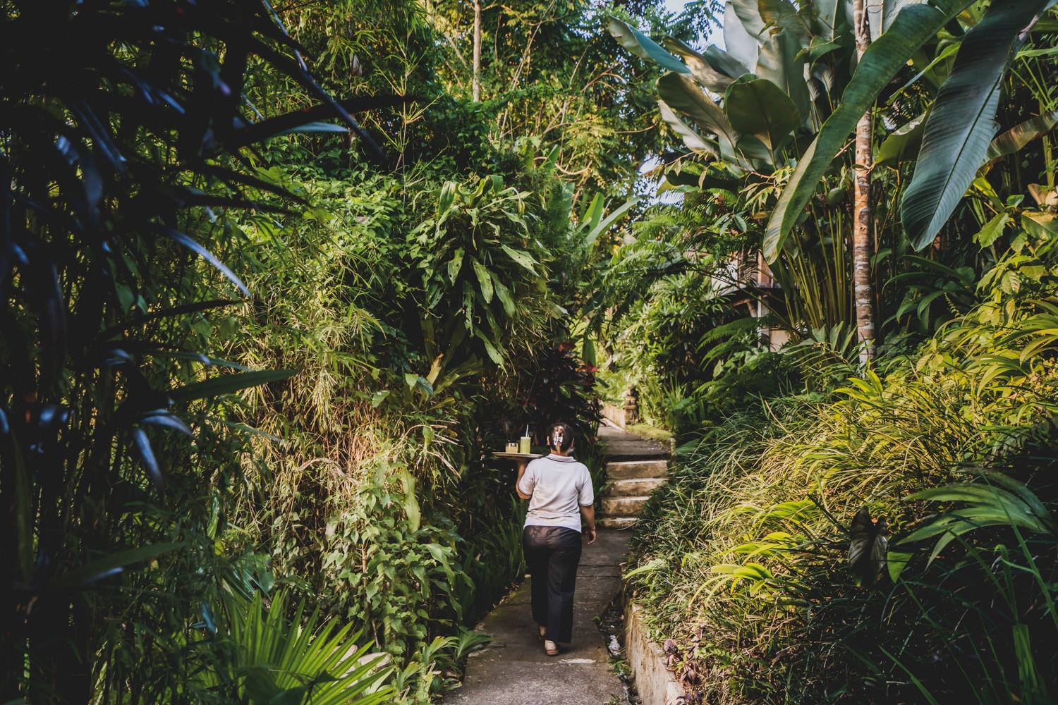 Luwak Ubud Villa & Jungle Suite