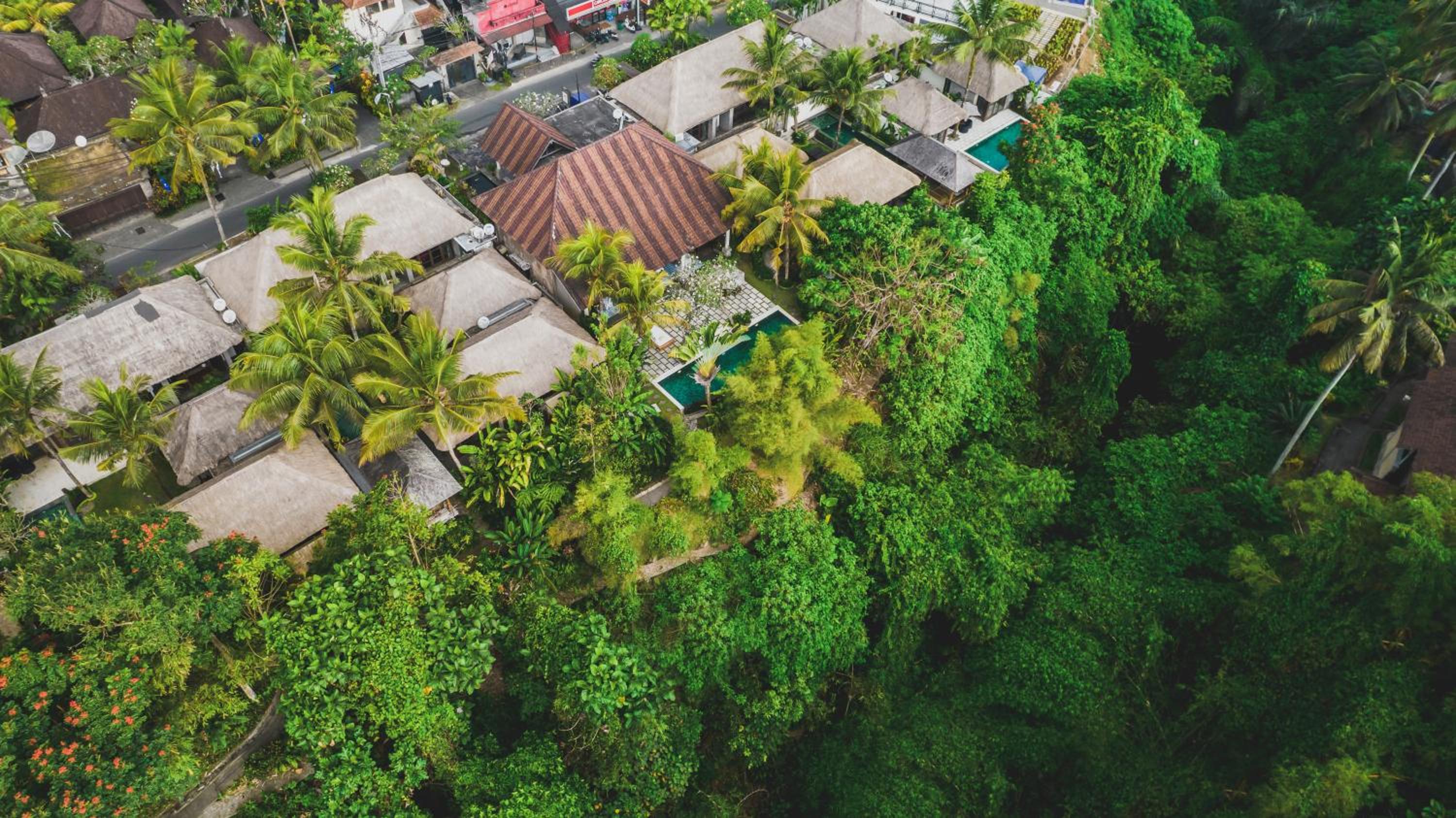 Luwak Ubud Villa & Jungle Suite