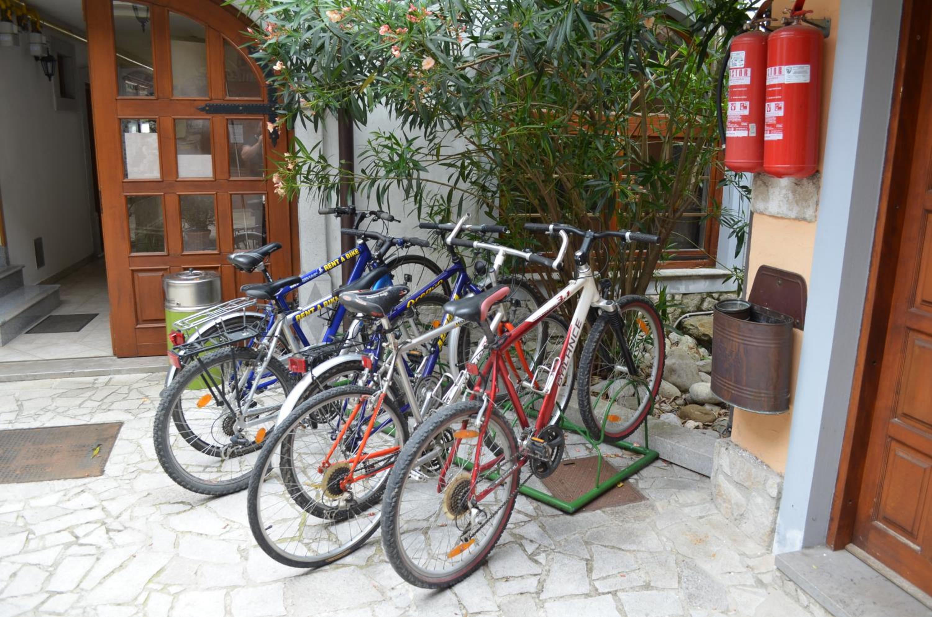 Photo 42
