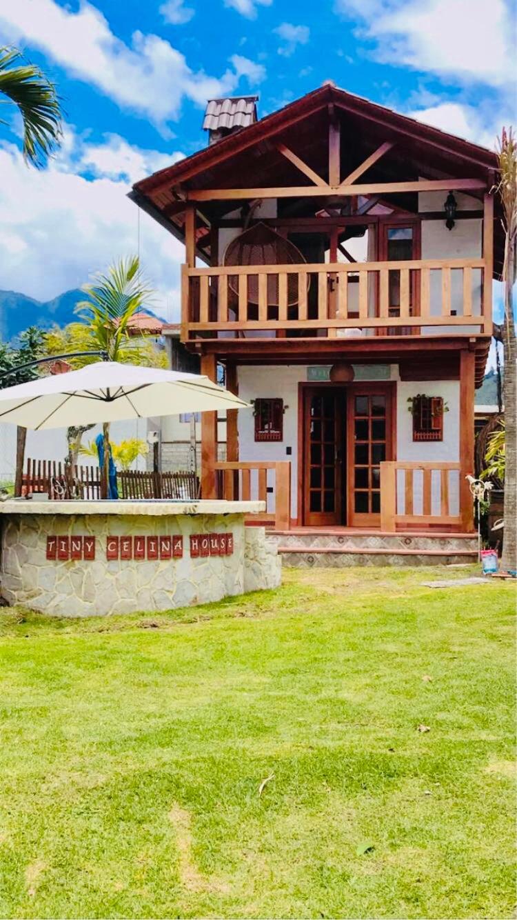 Tiny Celina House