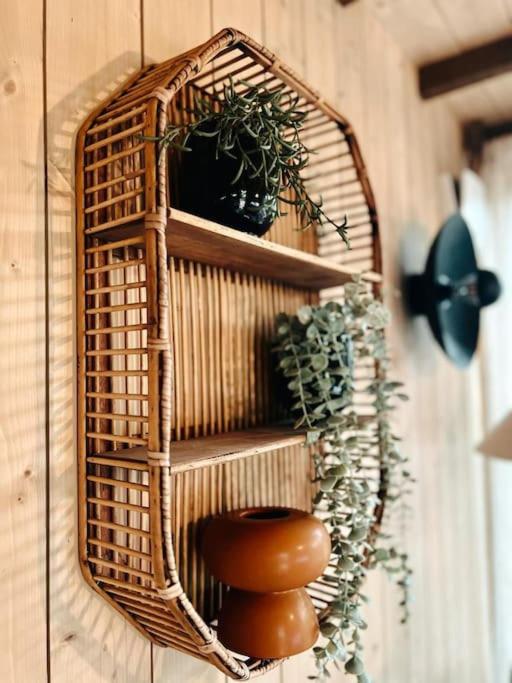 Bird nest