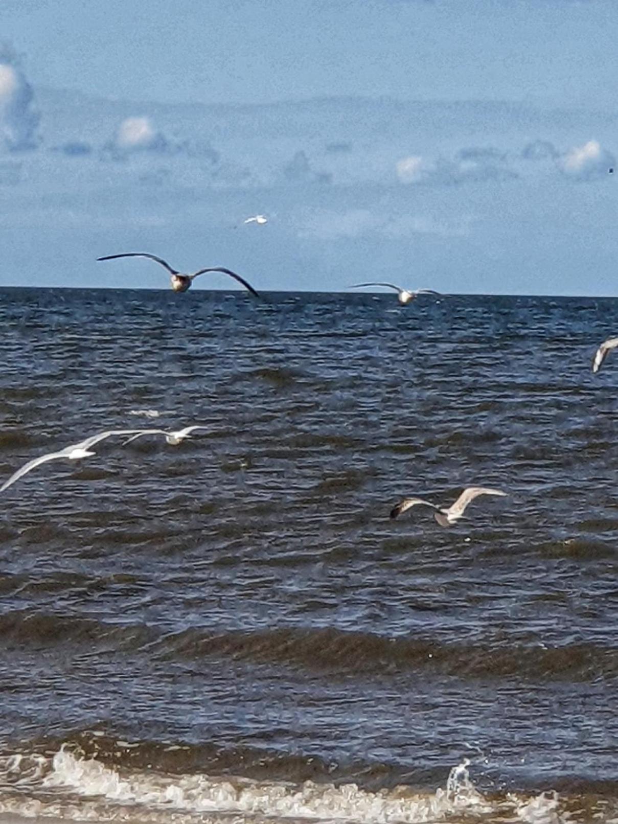 Usedom Suites Zinnowitz am Meer mit Balkon