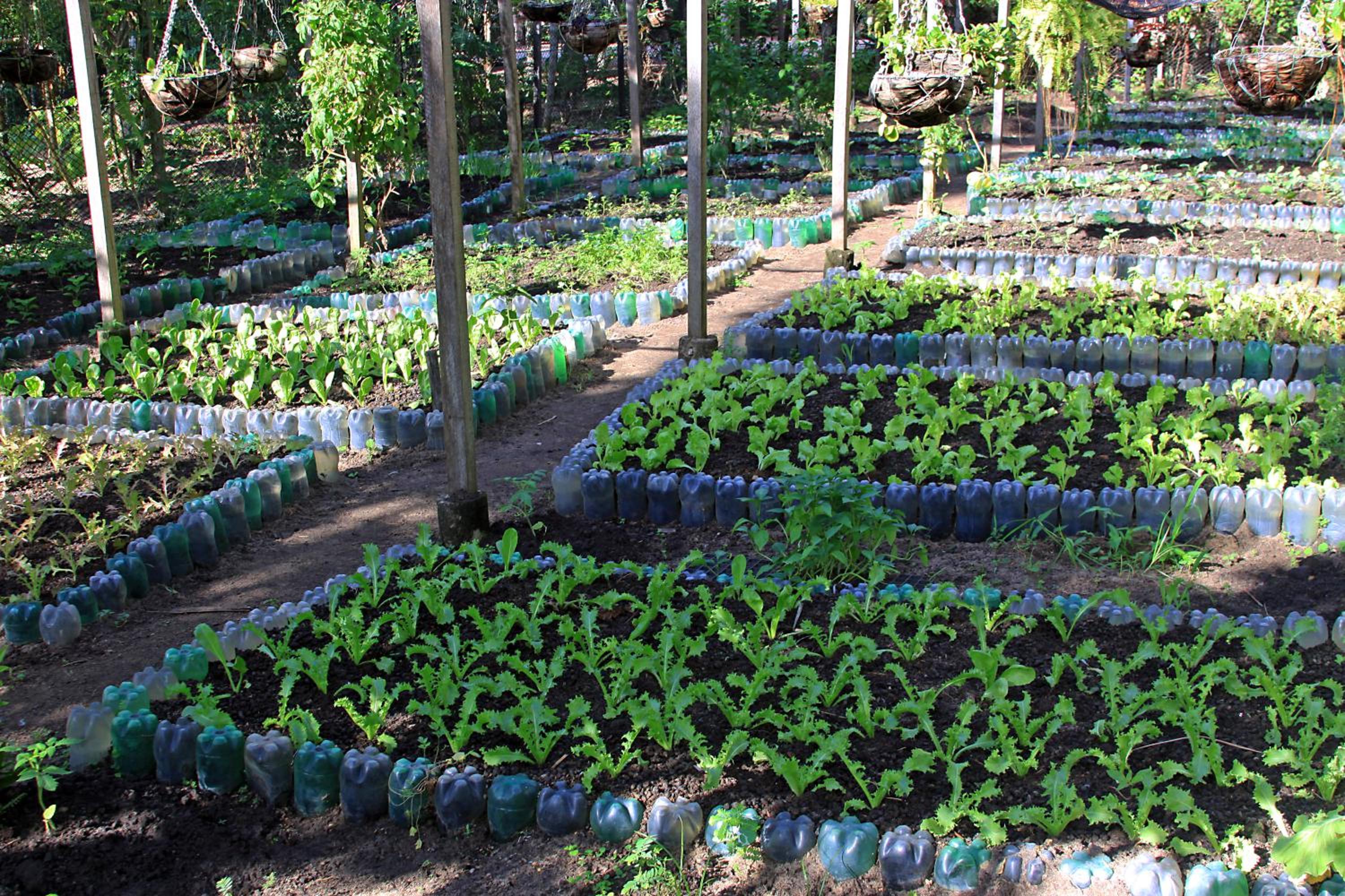 Eco Pousada Paraíso dos Coqueirais