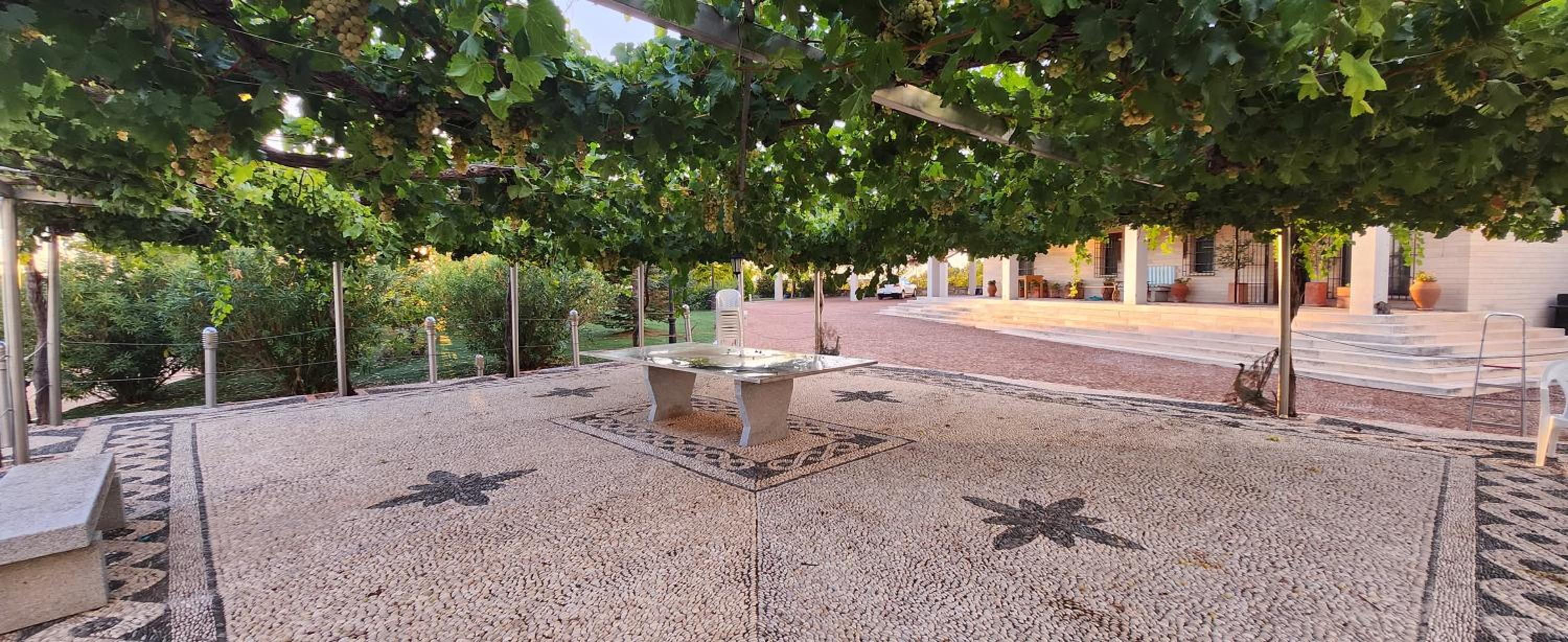 finca el descanso manchego