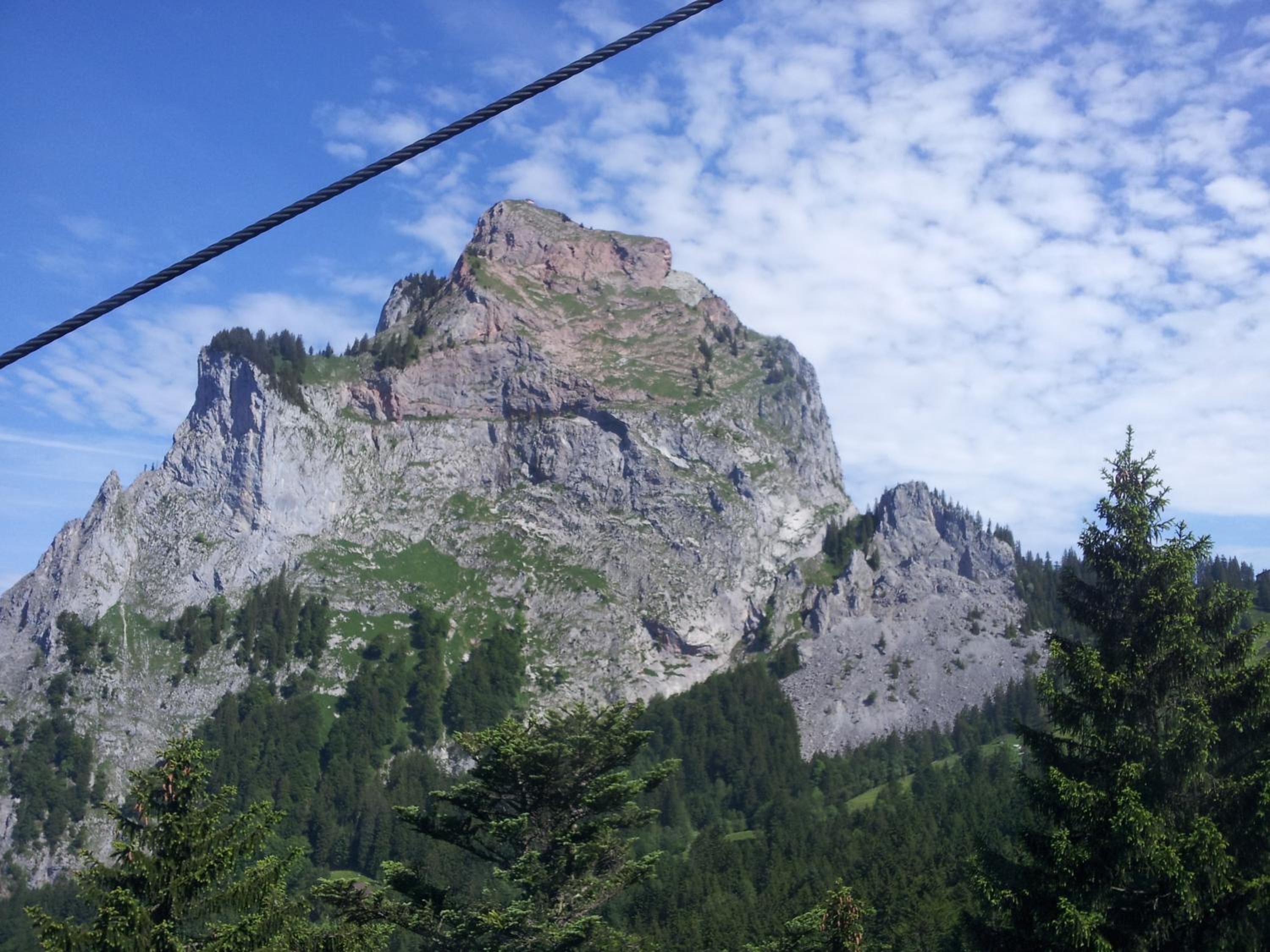 Photo 46