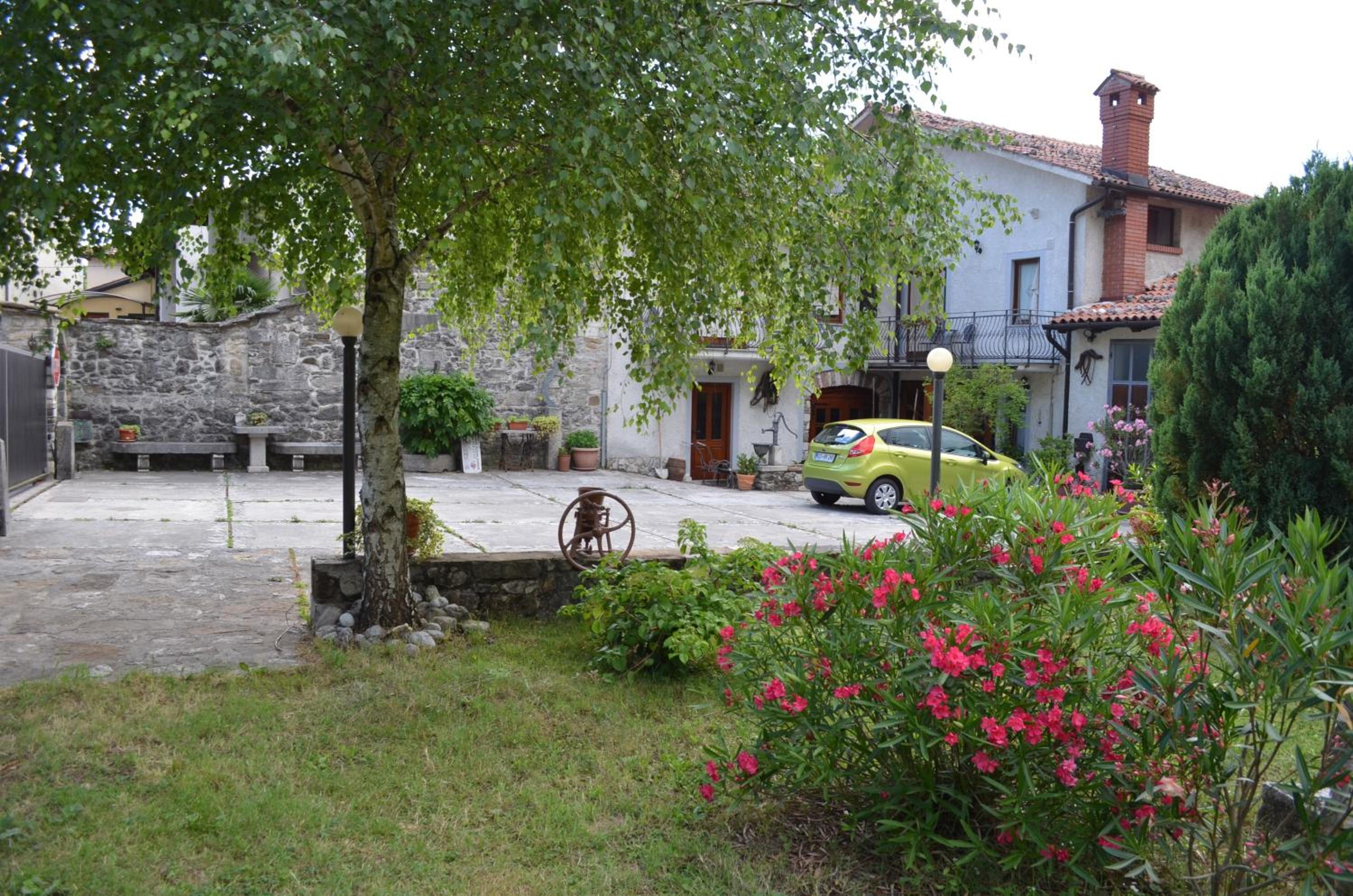 Photo 6