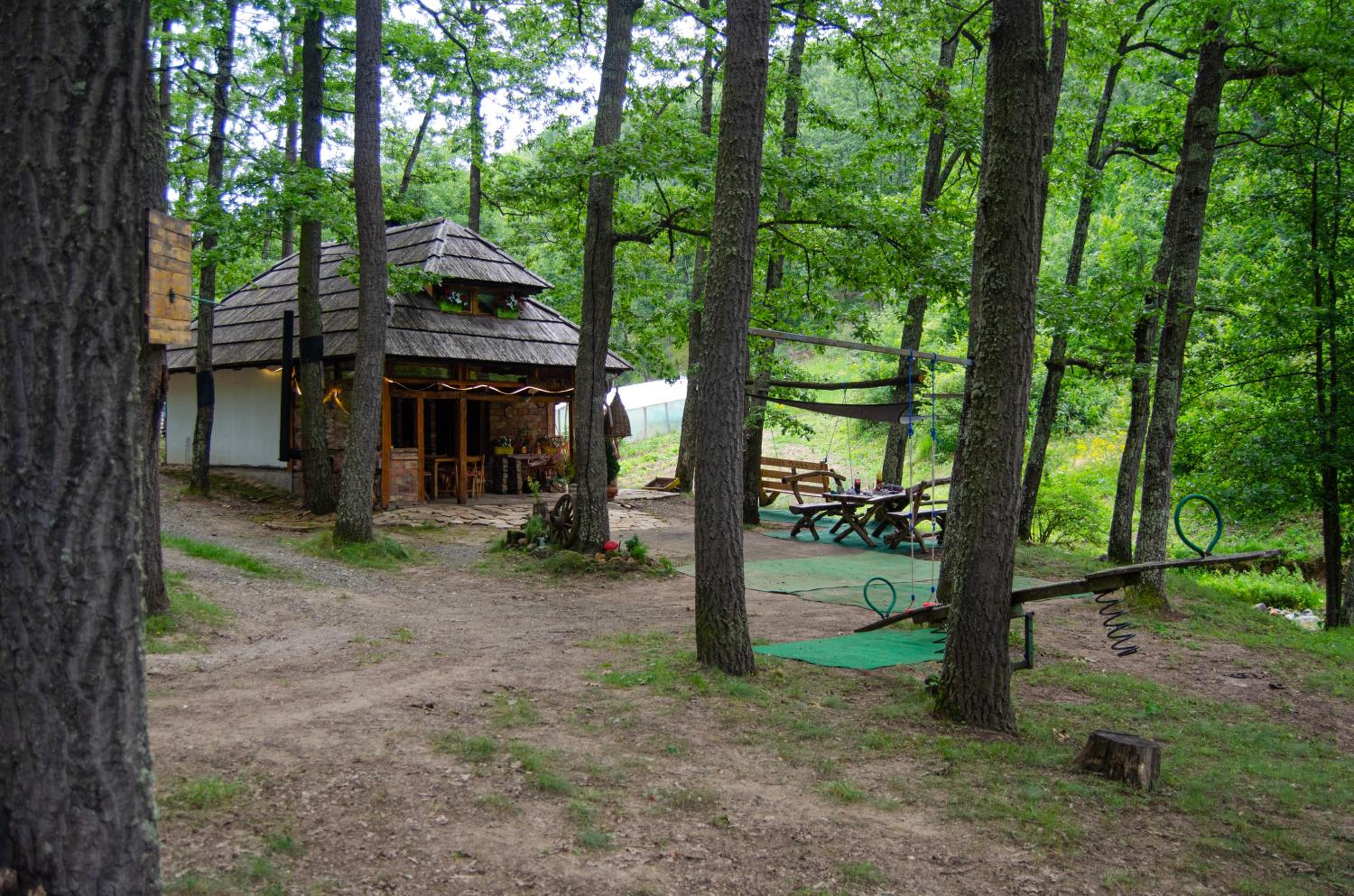Photo 21